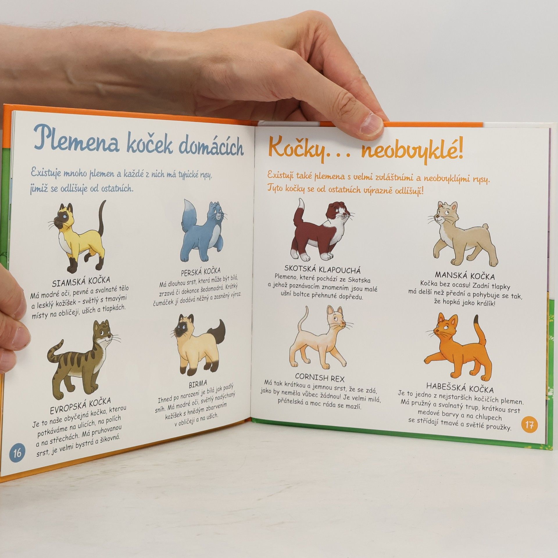 Auteurscollectief Na dvorku 14. Kocour