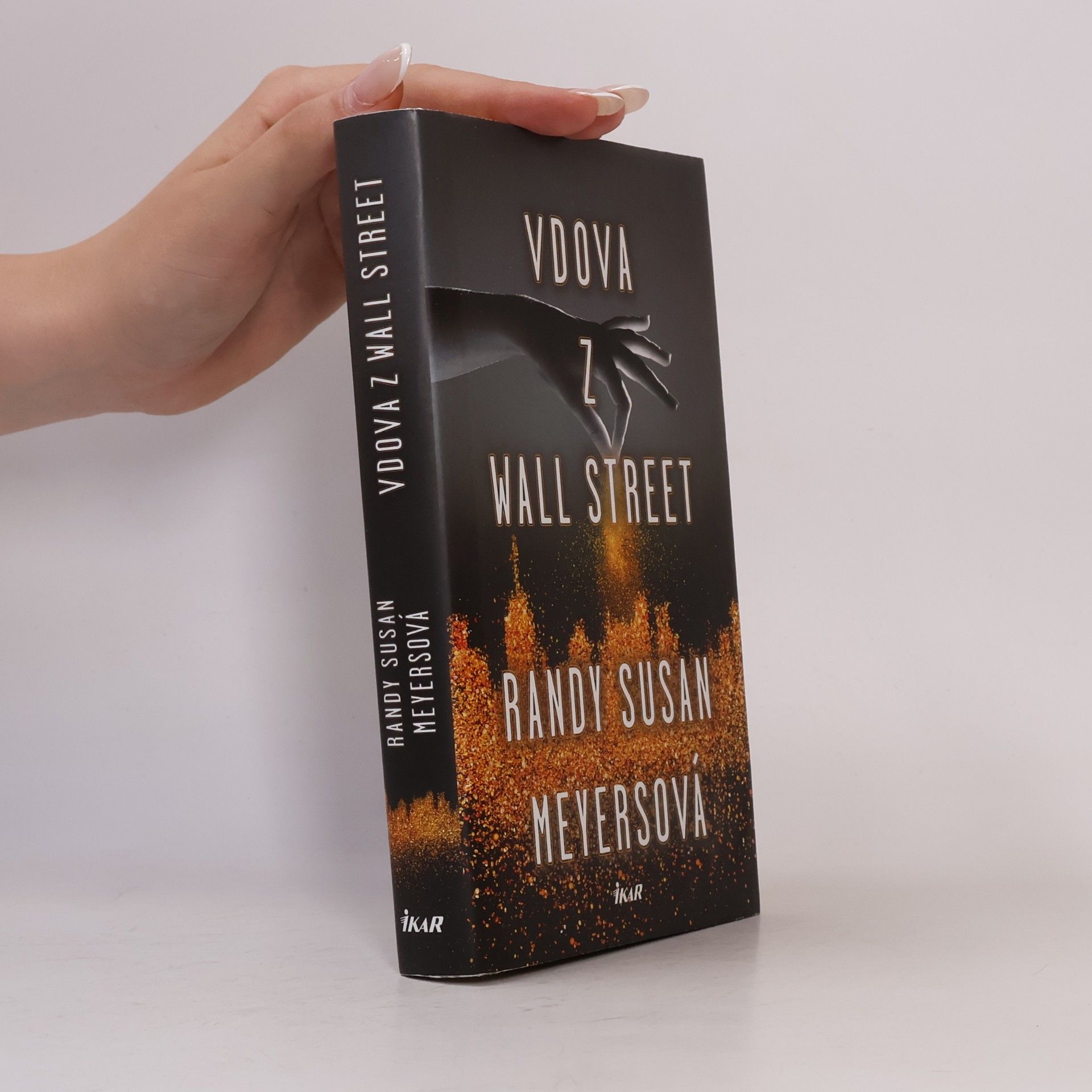 Randy Susan Meyers Vdova z Wall Street