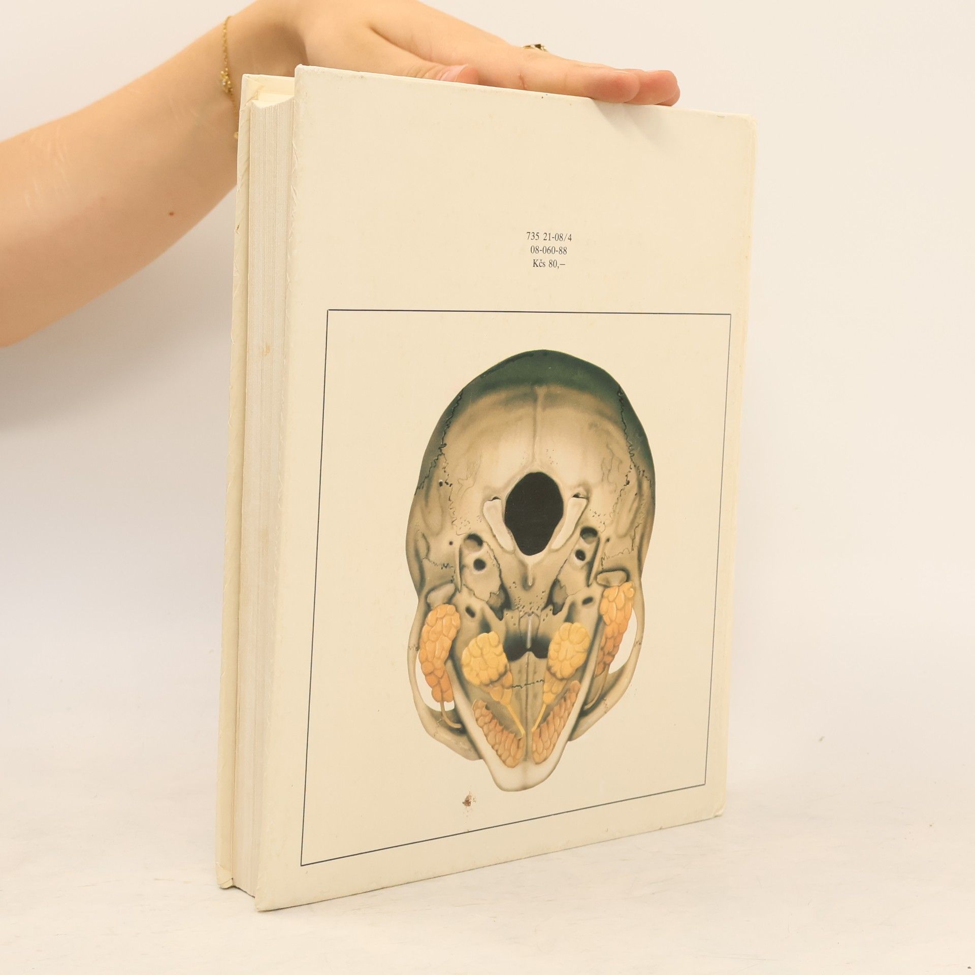 Radomír Čihák Anatomie 2