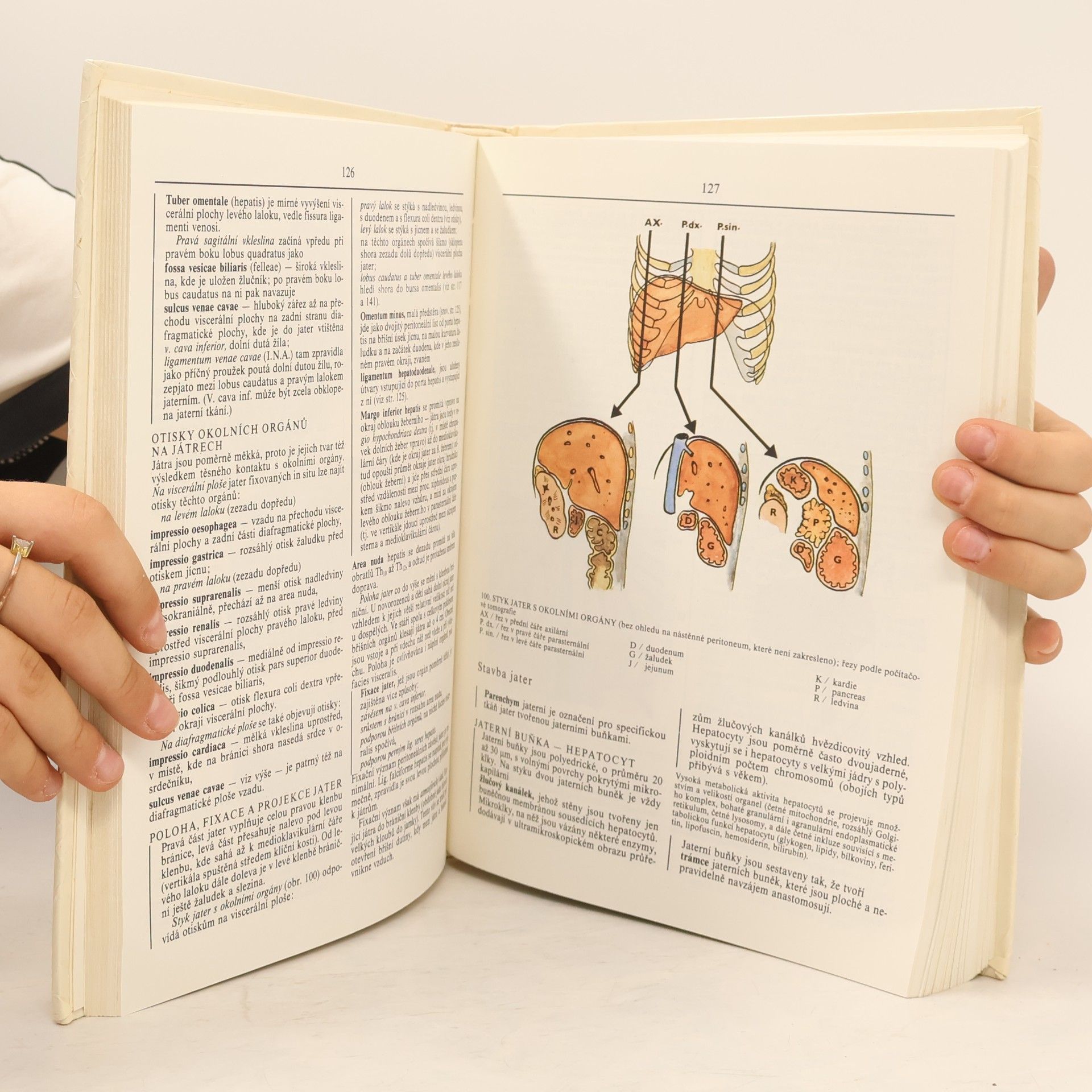 Radomír Čihák Anatomie 2
