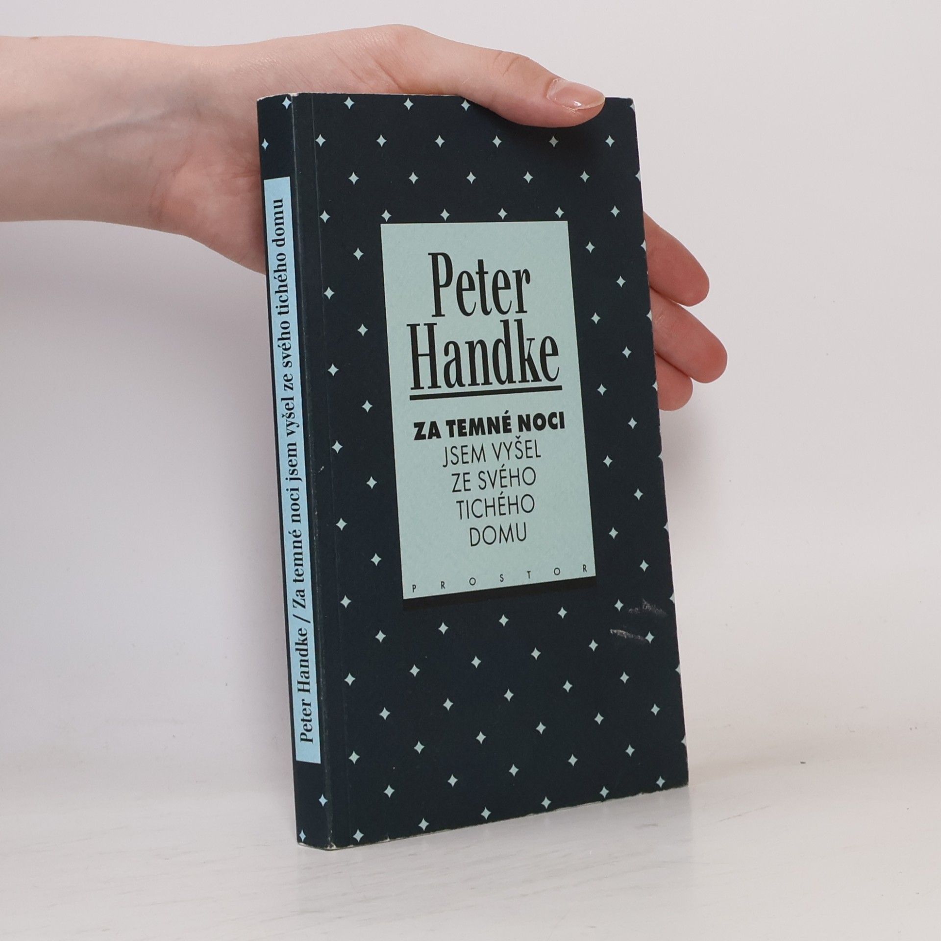 Peter Handke Za temné noci jsem vyšel ze svého tichého domu