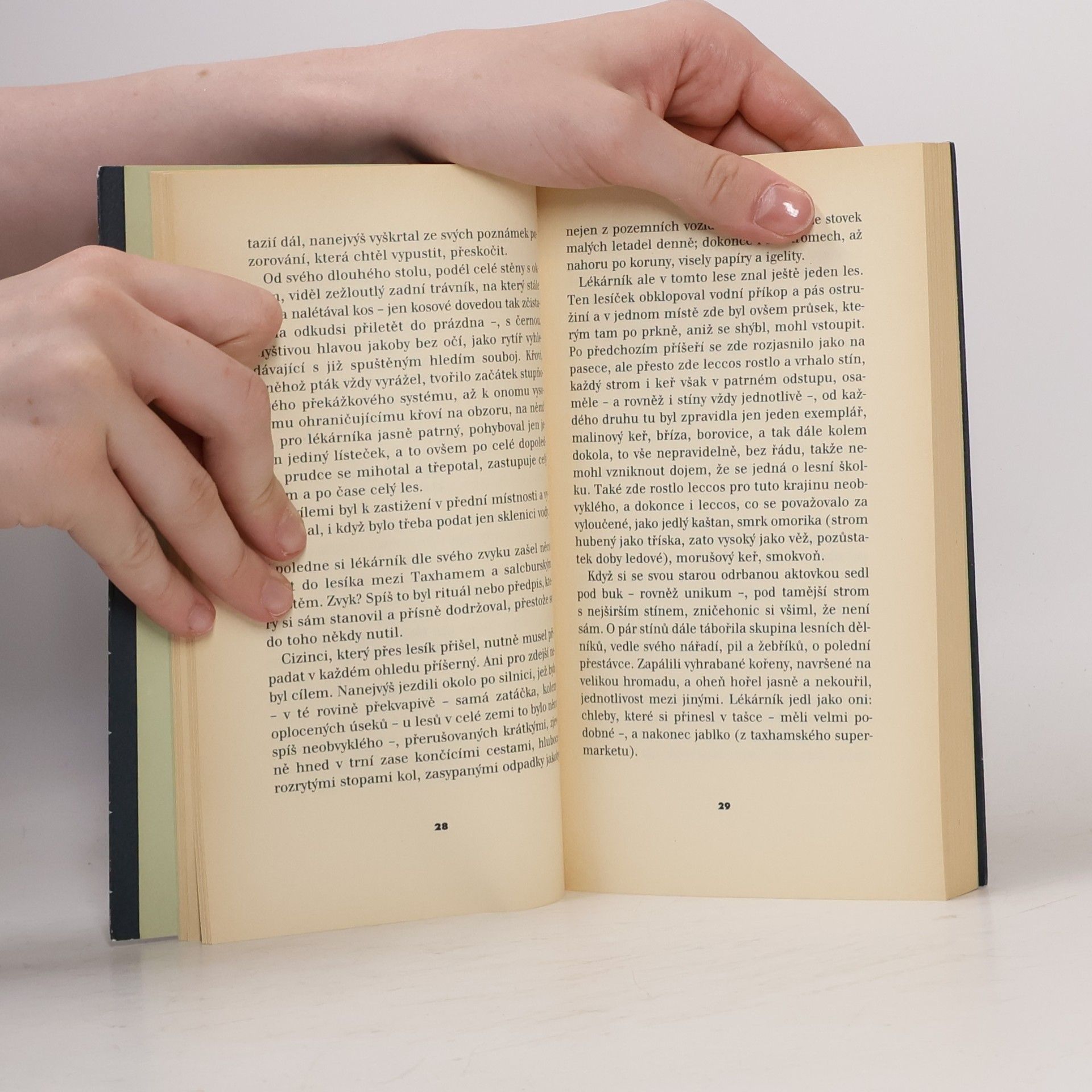 Peter Handke Za temné noci jsem vyšel ze svého tichého domu