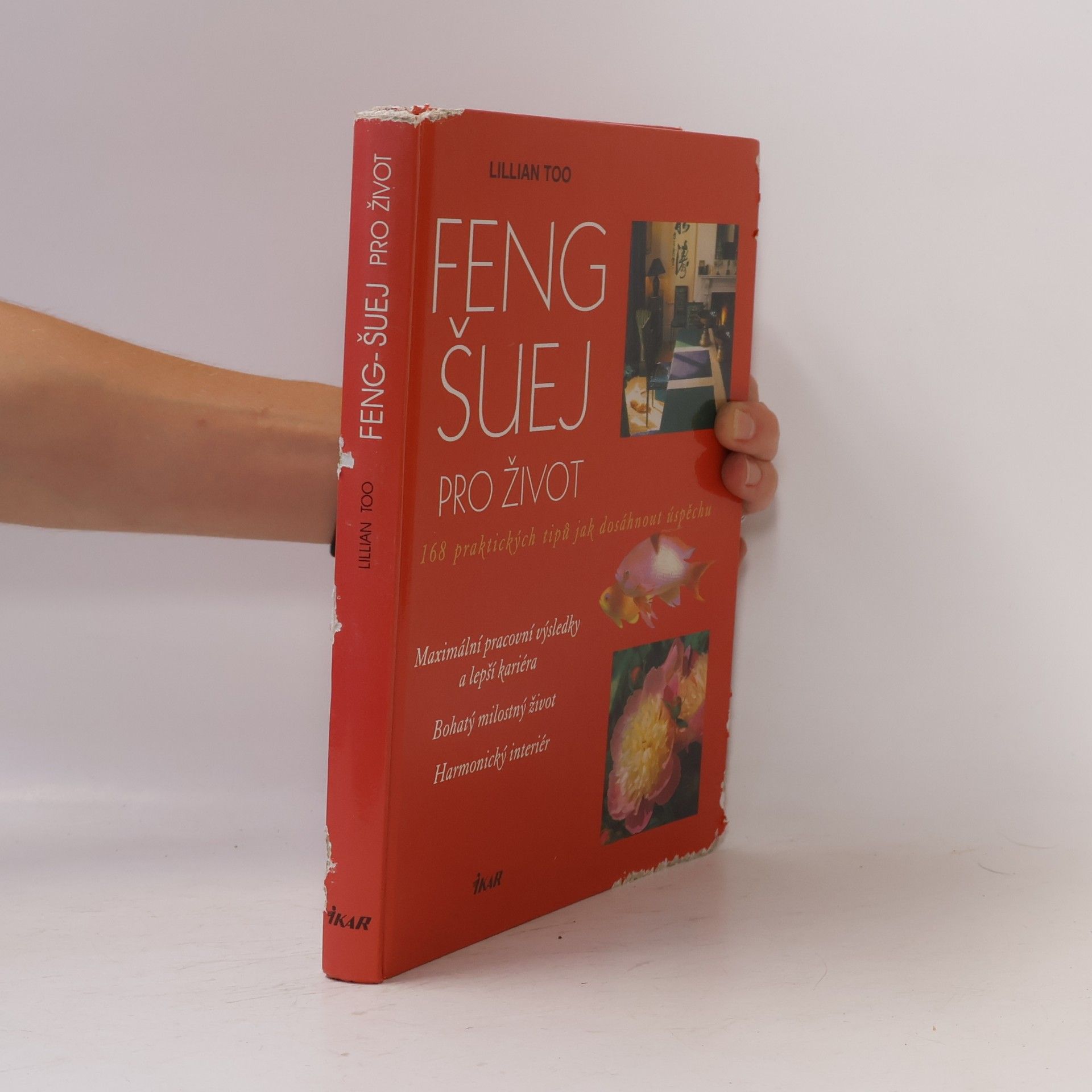 Lillian Too Feng-šuej pro život : 168 praktických tipů jak dosáhnout úspěchu