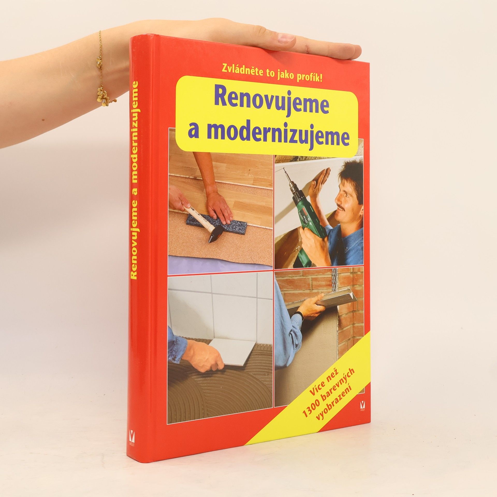 Kolektív autorov Renovujeme a modernizujeme