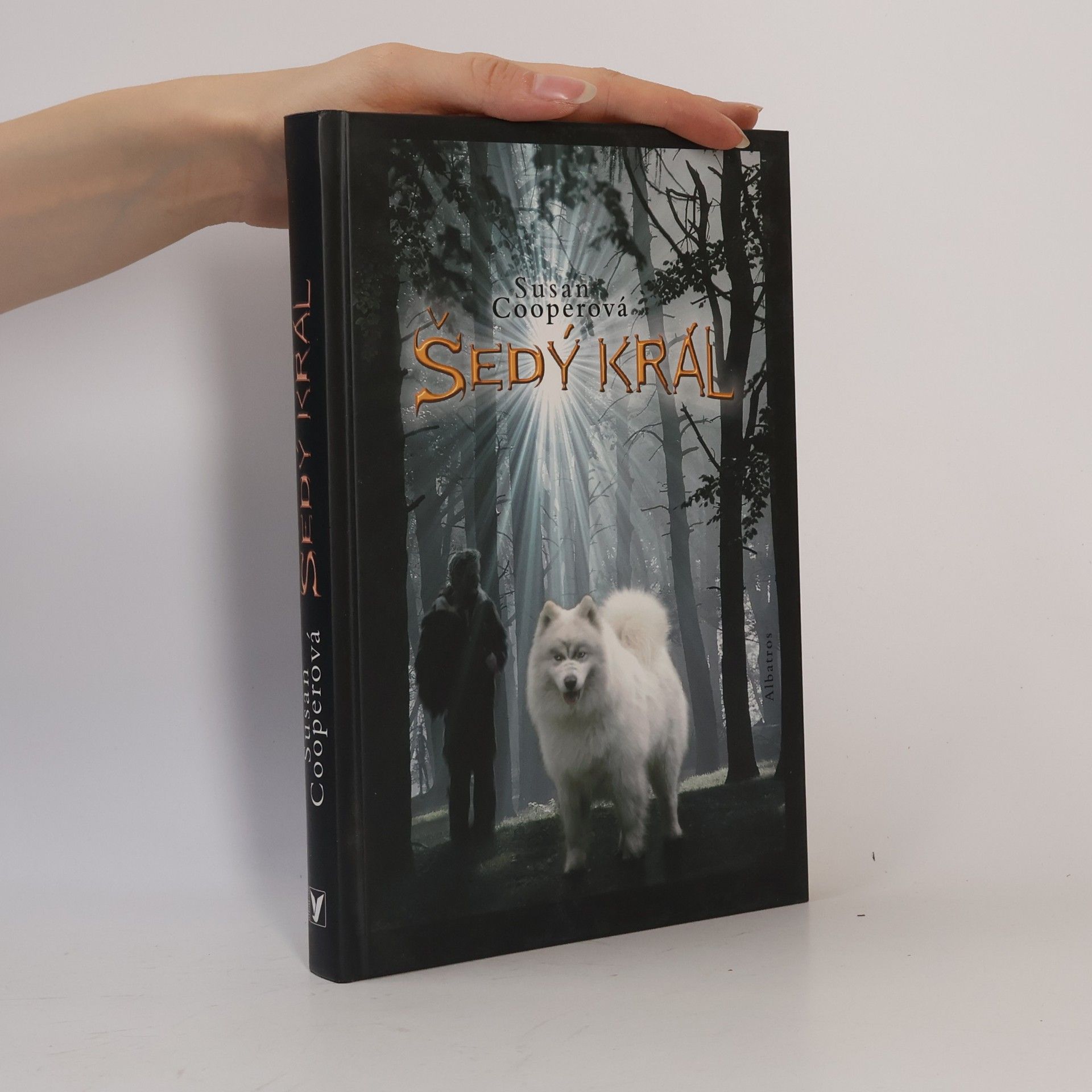 Susan Cooper Šedý král. Probuzení Tmy. Díl 3.