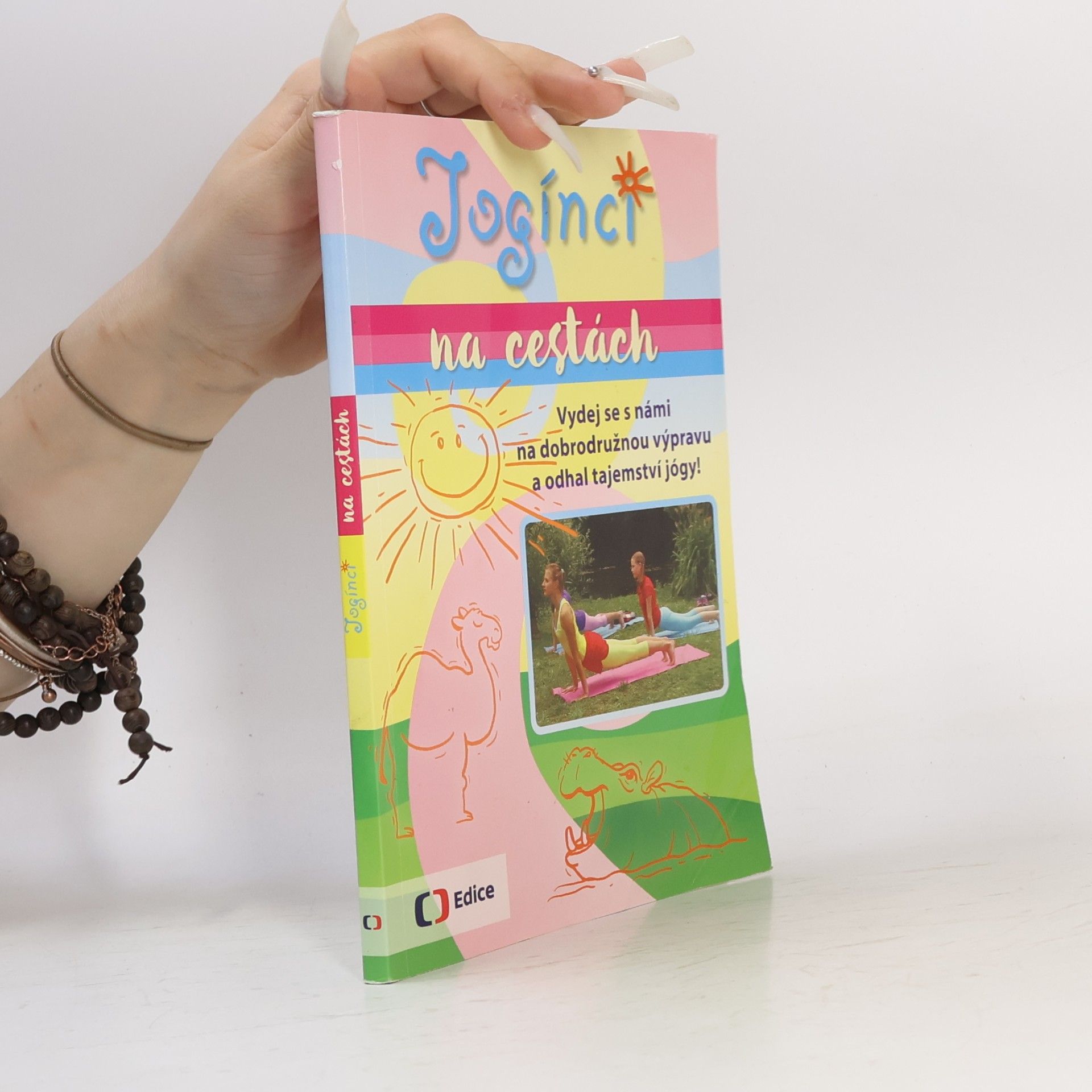 Jogínci na cestách