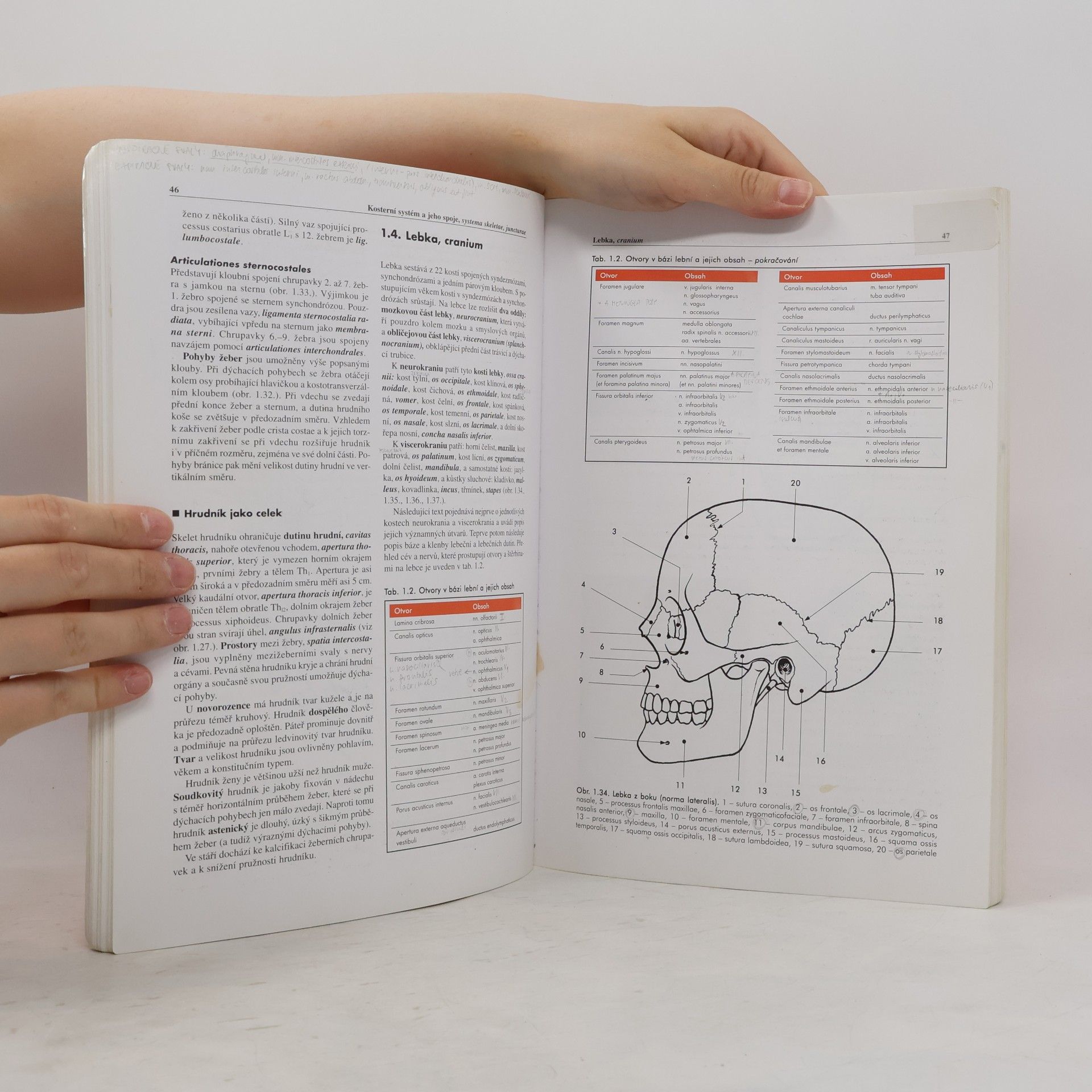 Miloš Grim Základy anatomie 1. Obecná anatomie a pohybový systém