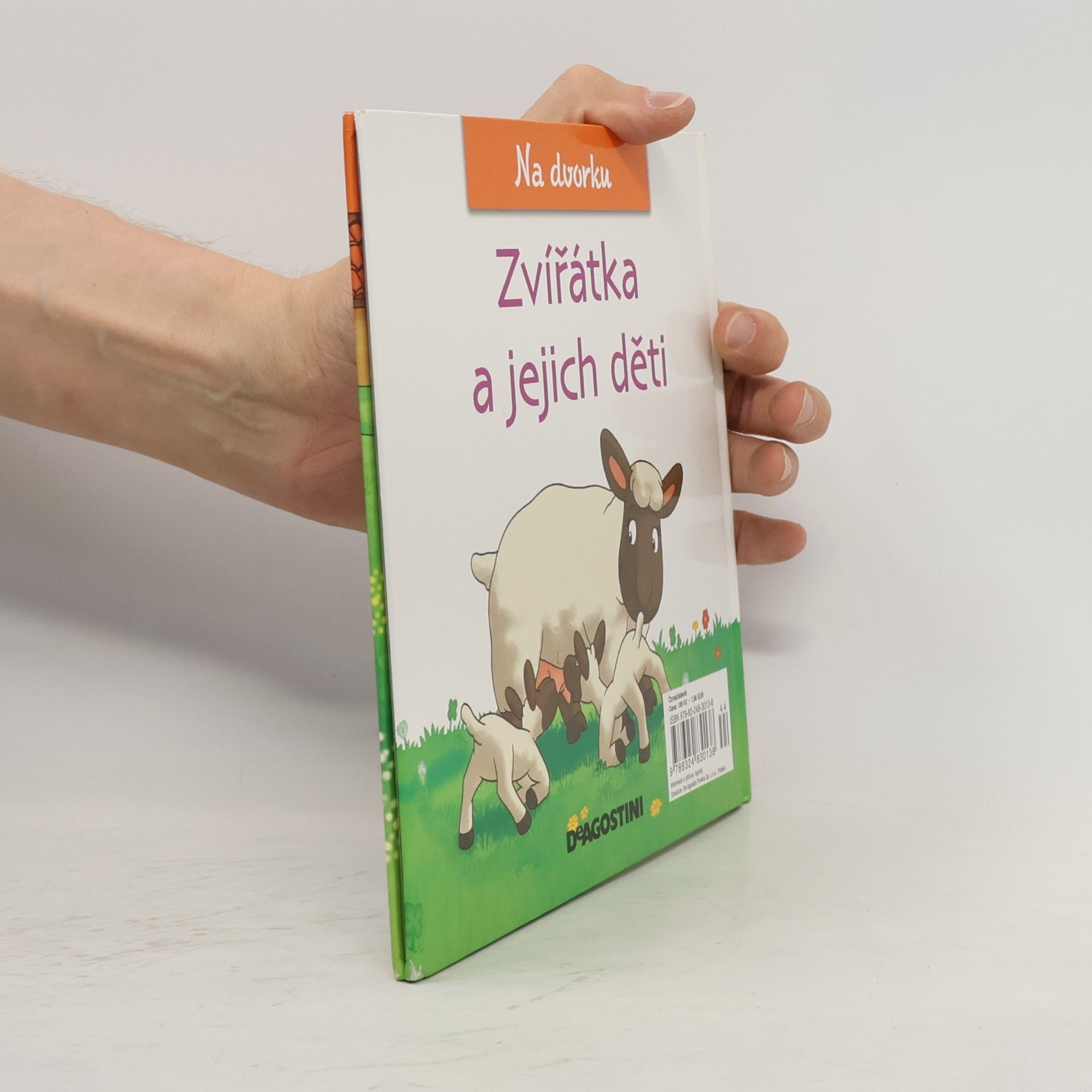 Collectif d'auteurs Na dvorku 19. Zvířátka a jejich děti