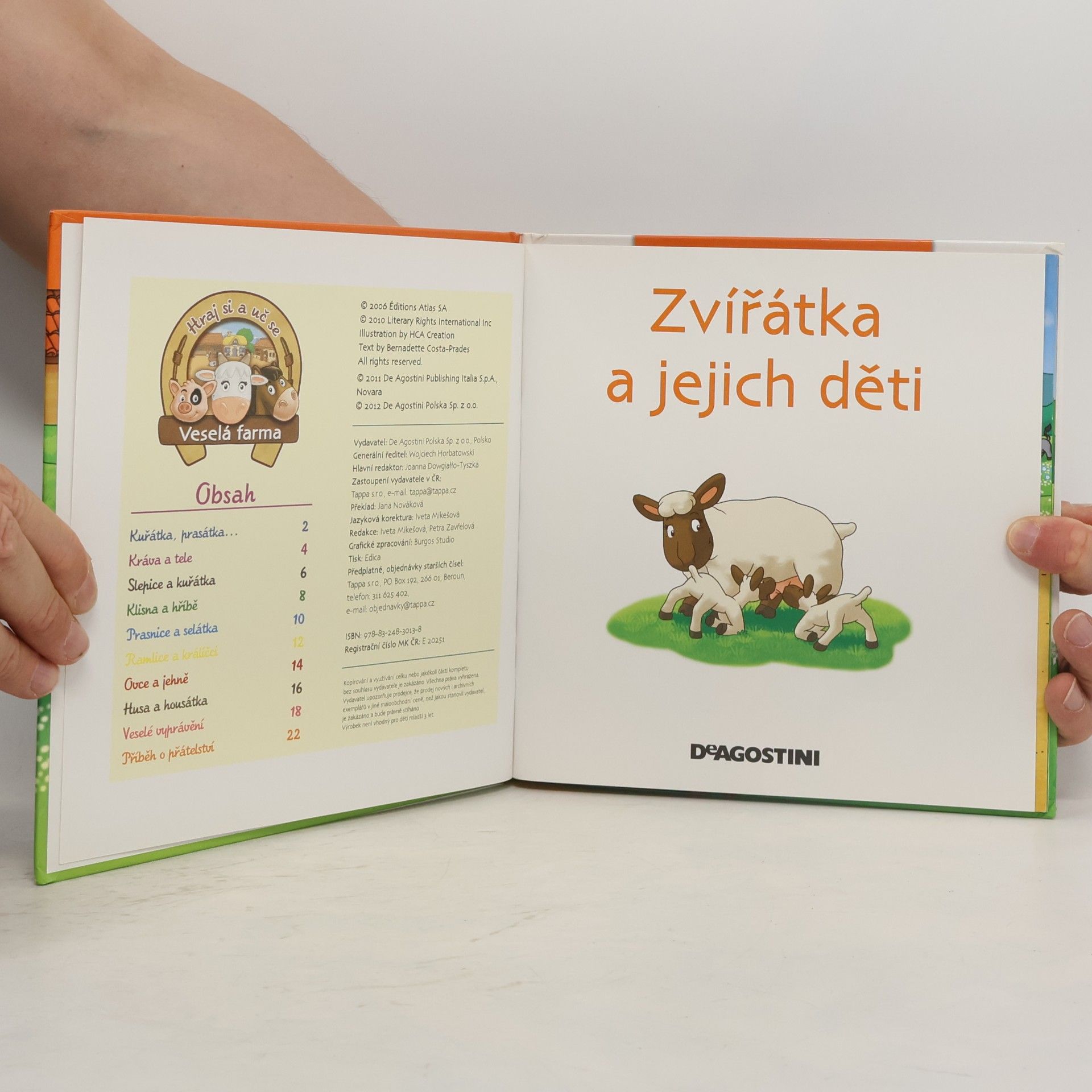 Collectif d'auteurs Na dvorku 19. Zvířátka a jejich děti