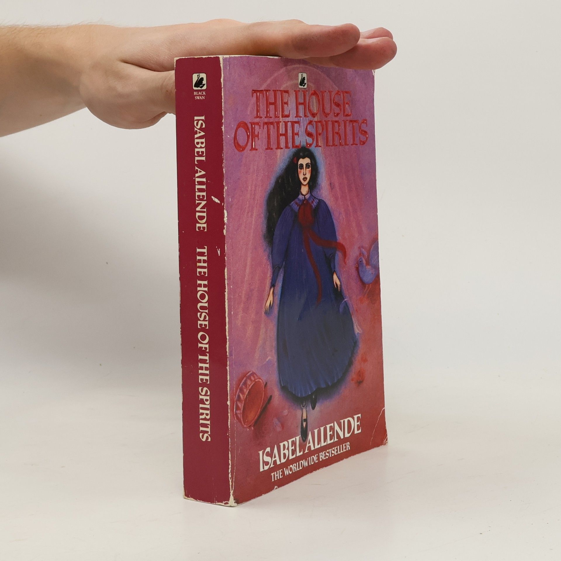 Isabel Allende The house of the spirits