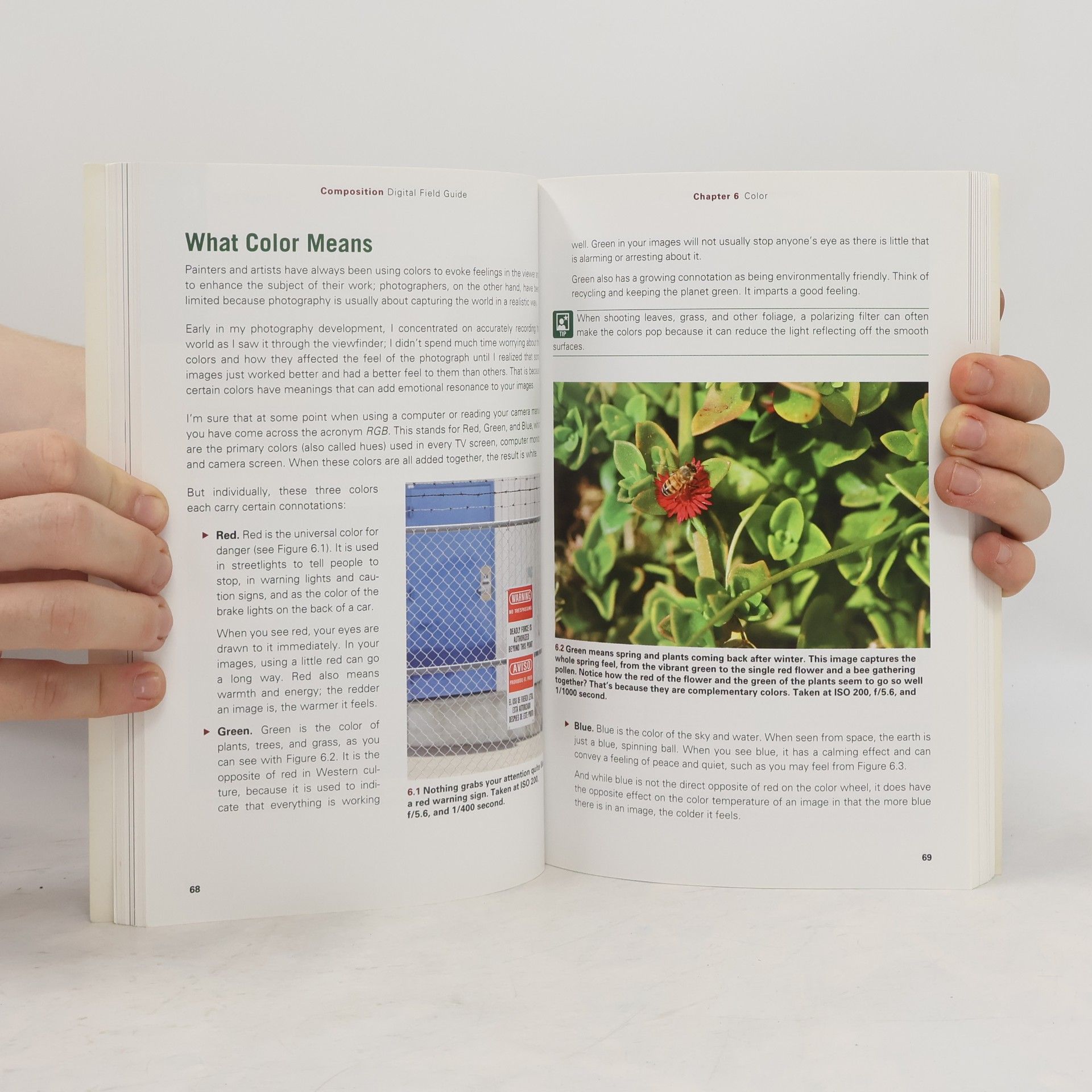 Alan Hess Composition Digital Field Guide