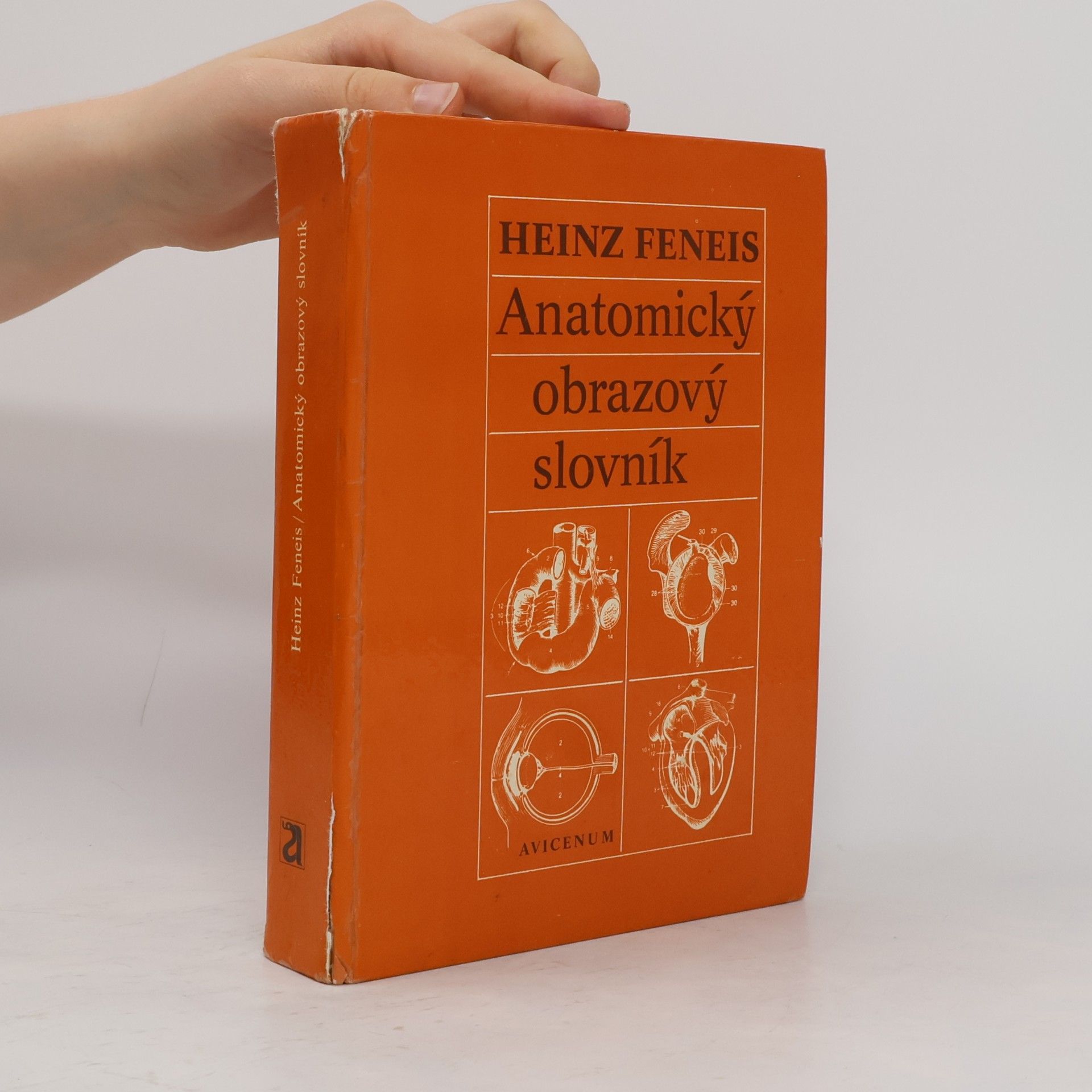 Heinz Feneis Anatomický obrazový slovník