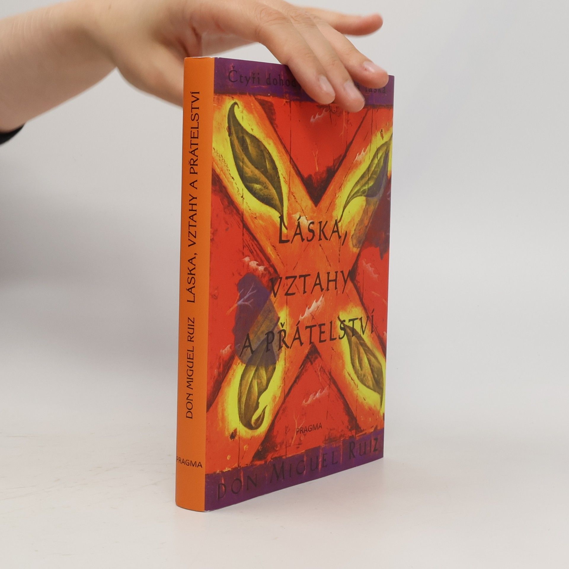 Don Miguel Ruiz Láska, vztahy a přátelství
