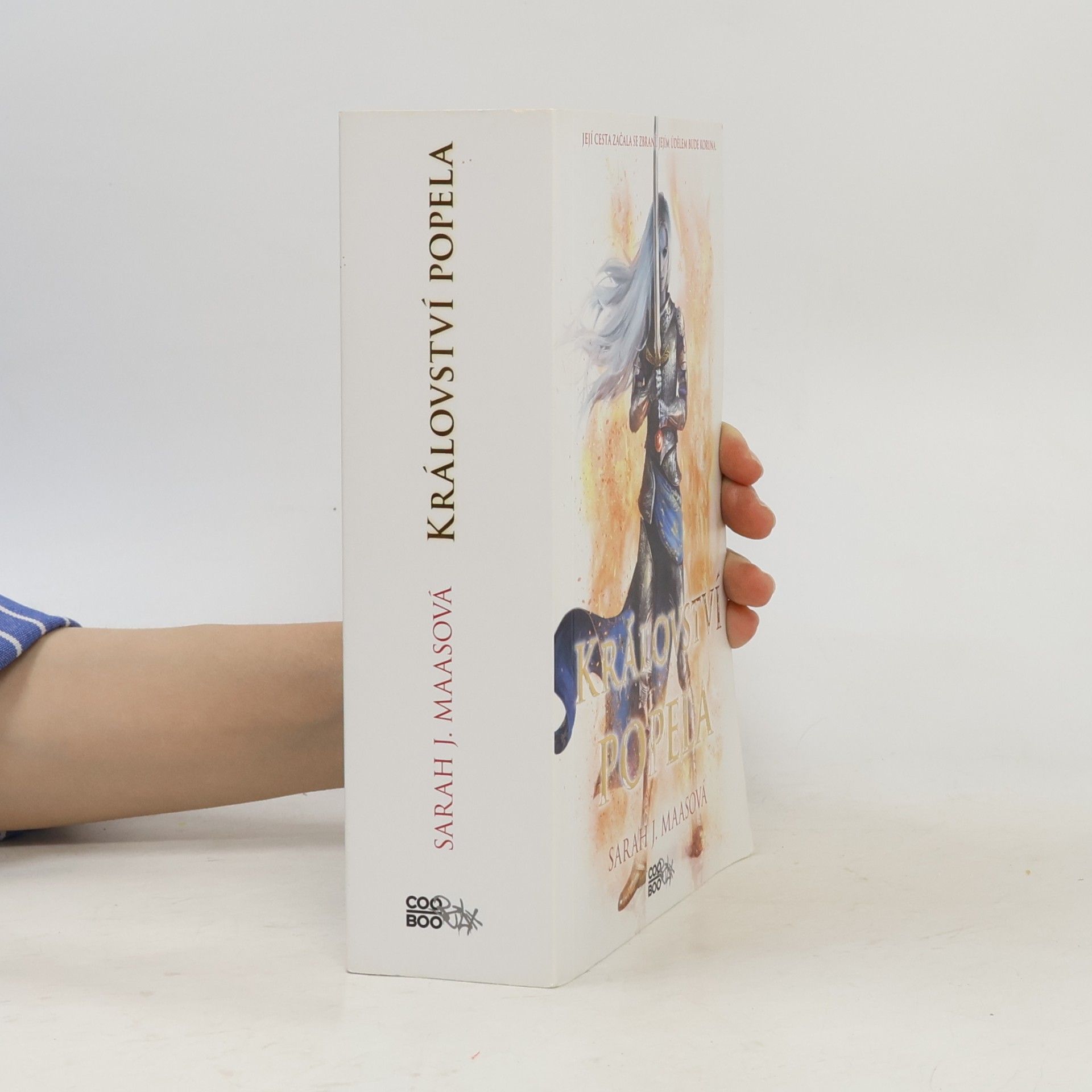 Sarah J. Maas Království popela