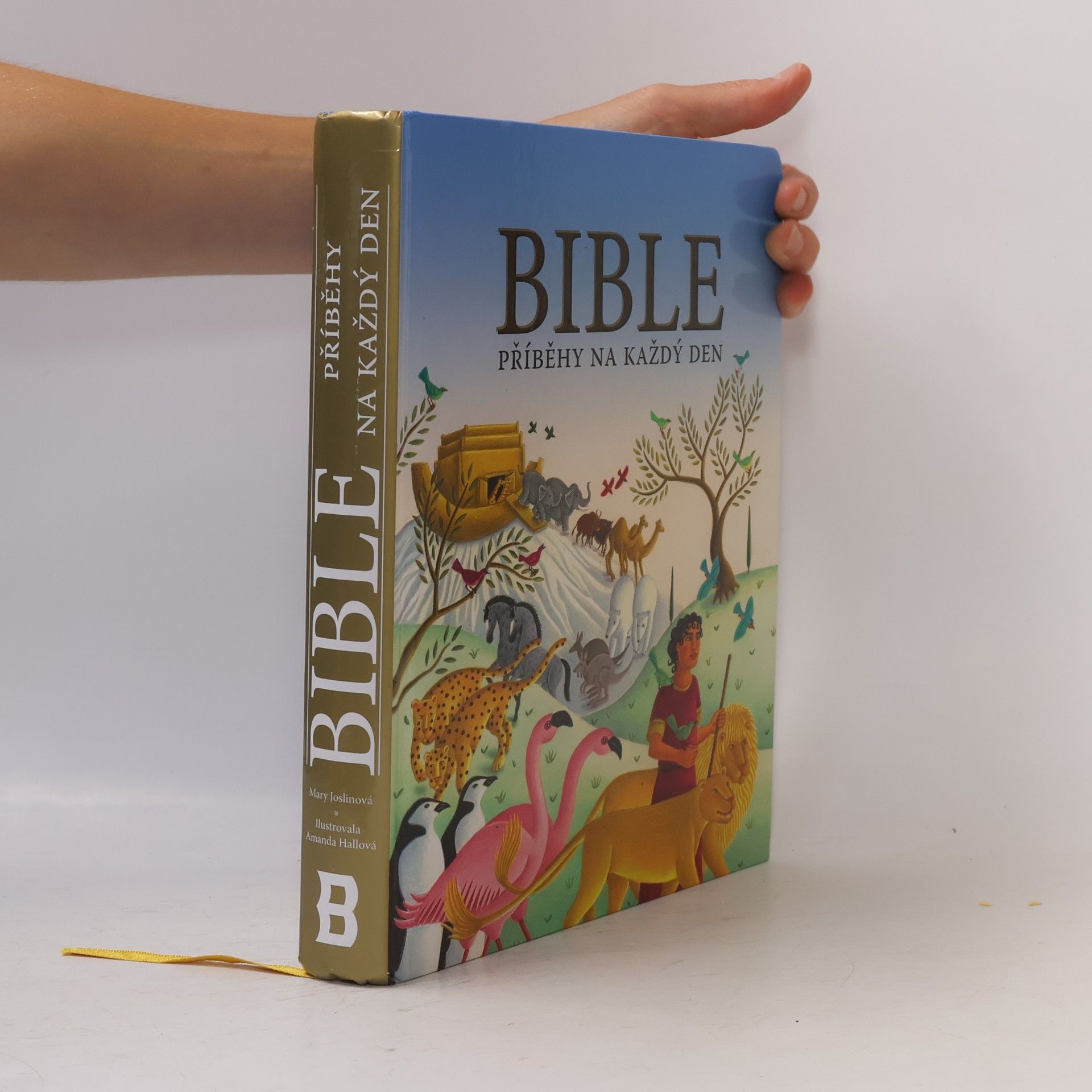 Mary Joslin Bible : příběhy na každý den