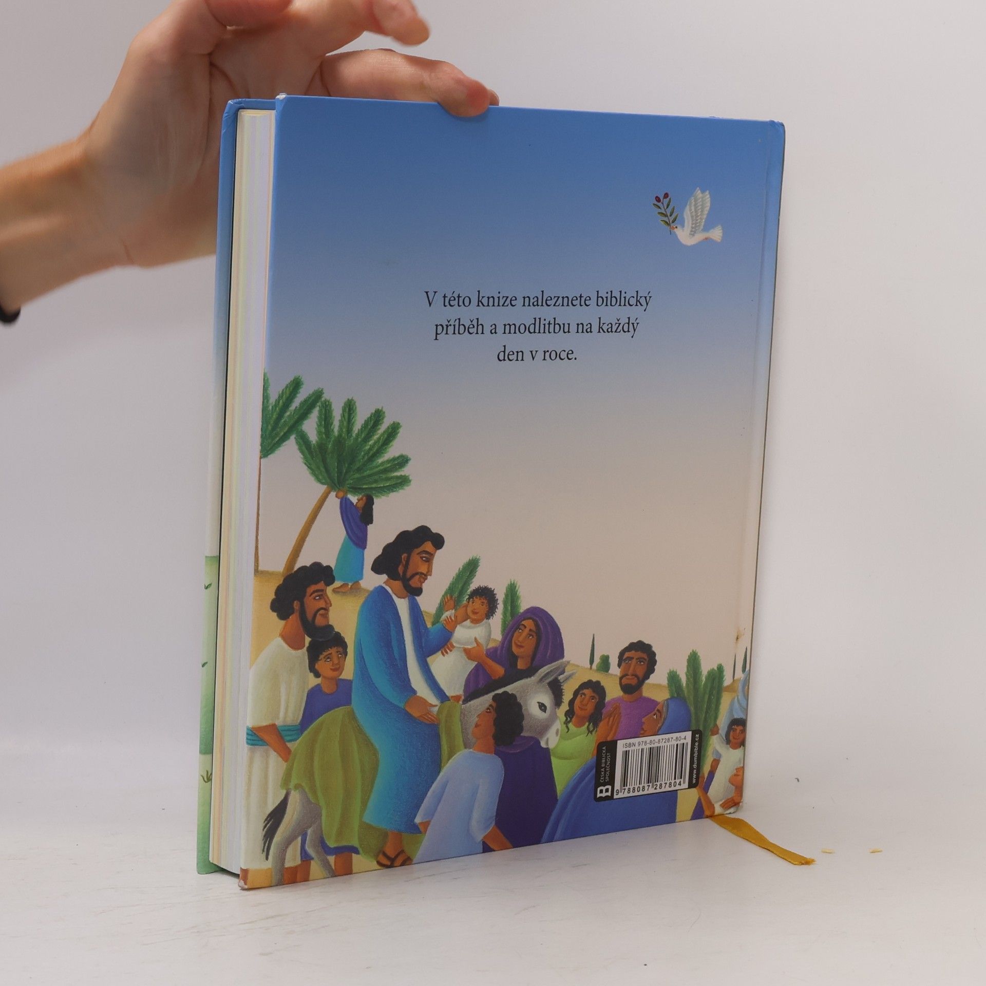 Mary Joslin Bible : příběhy na každý den