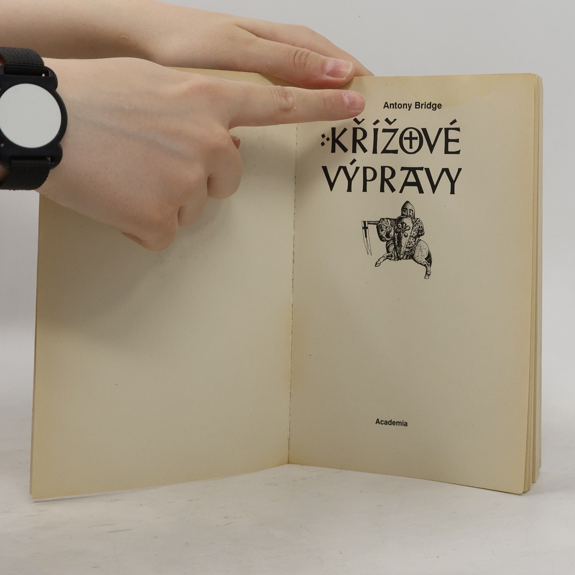 Tony Bridge Křížové výpravy