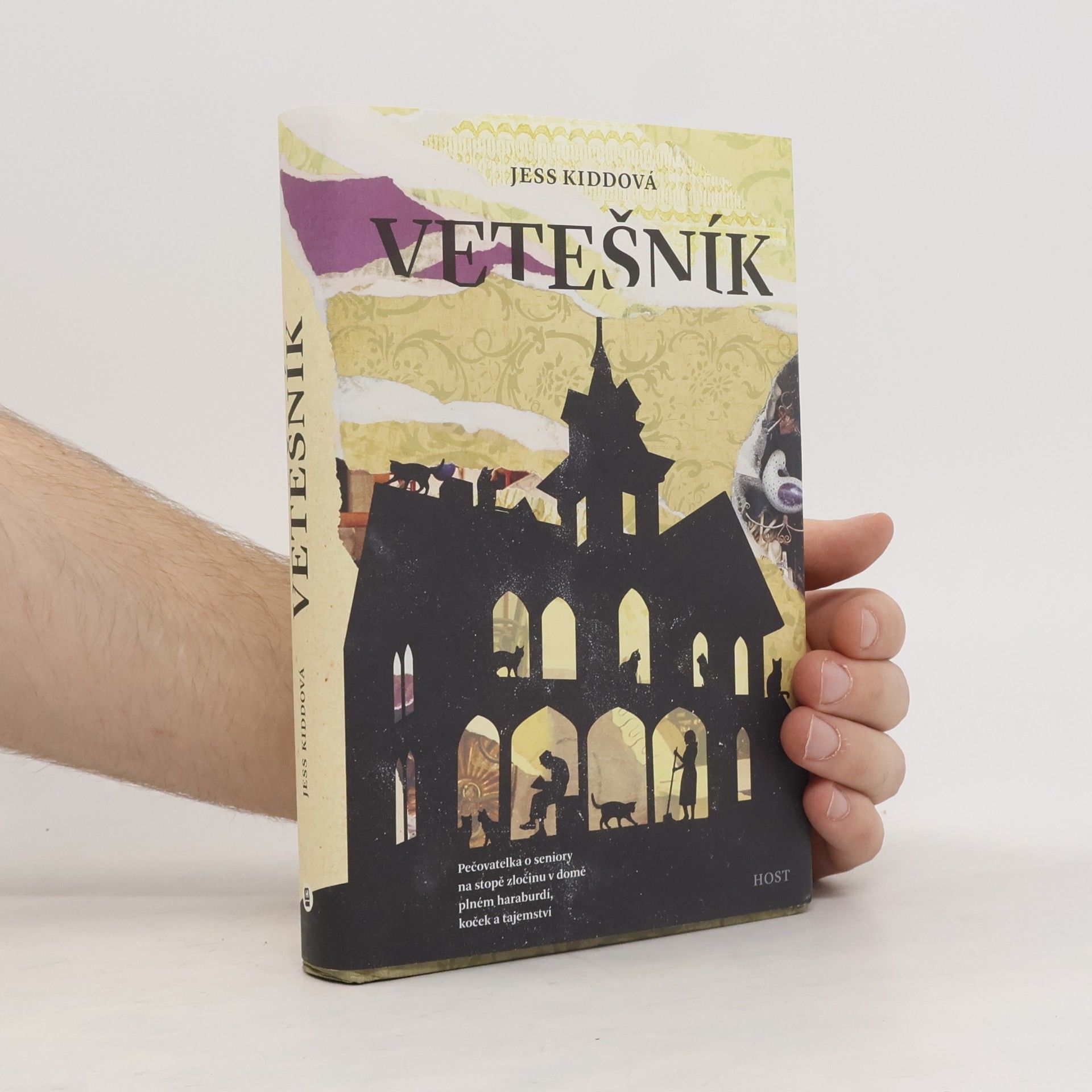 Jess Kidd Vetešník
