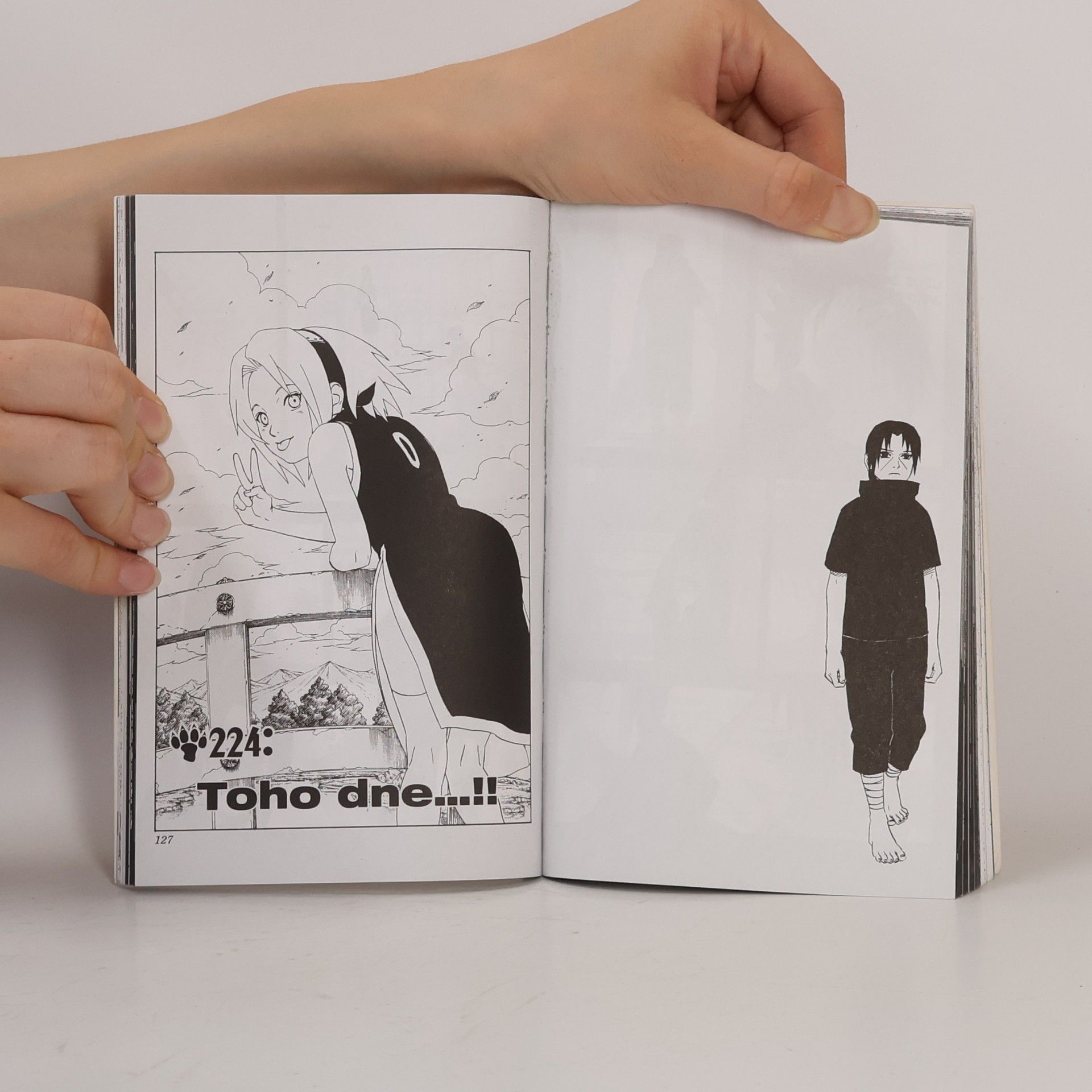 Masashi Kishimoto Naruto. 25. díl, Bratři