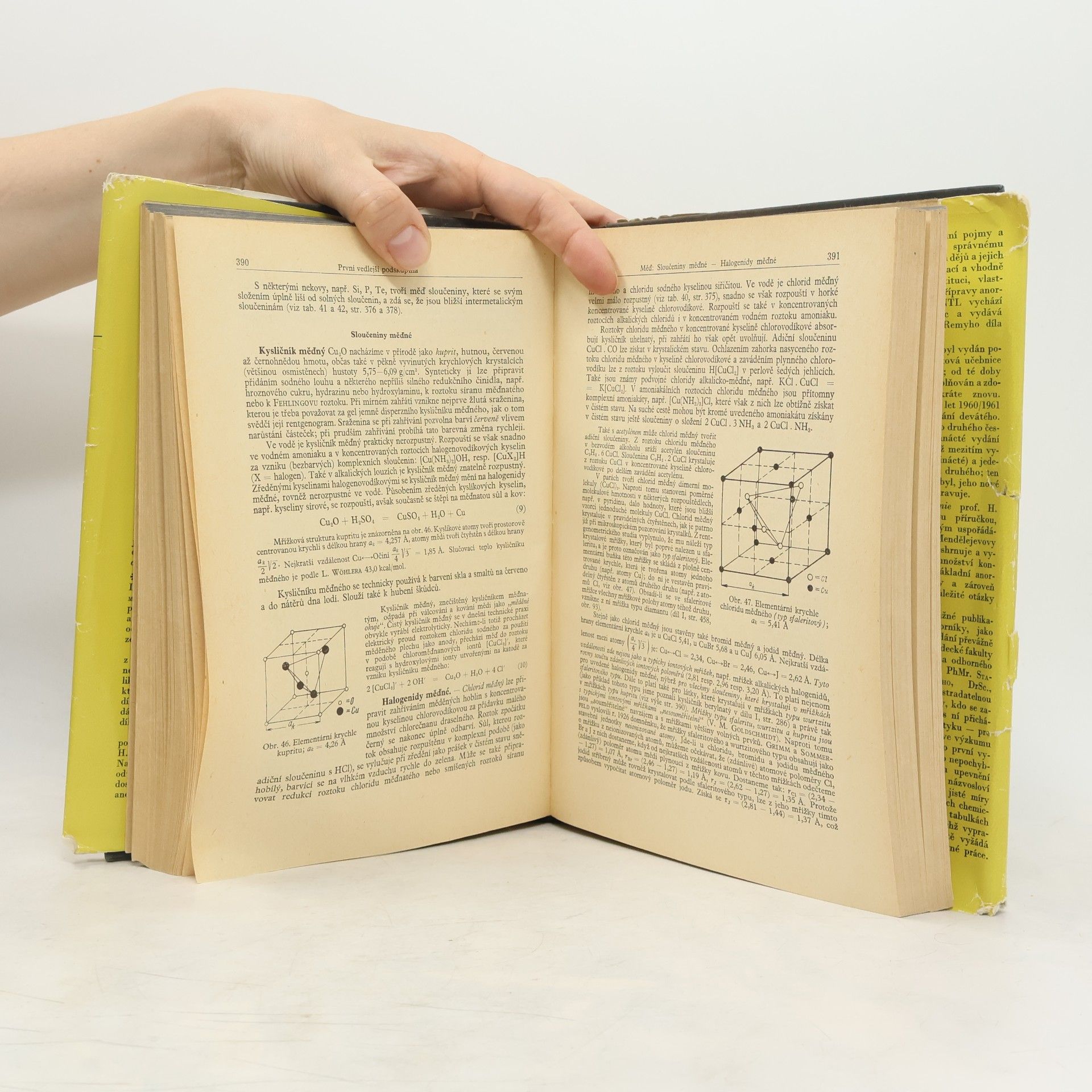 Heinrich Remy Anorganická chemie II. díl