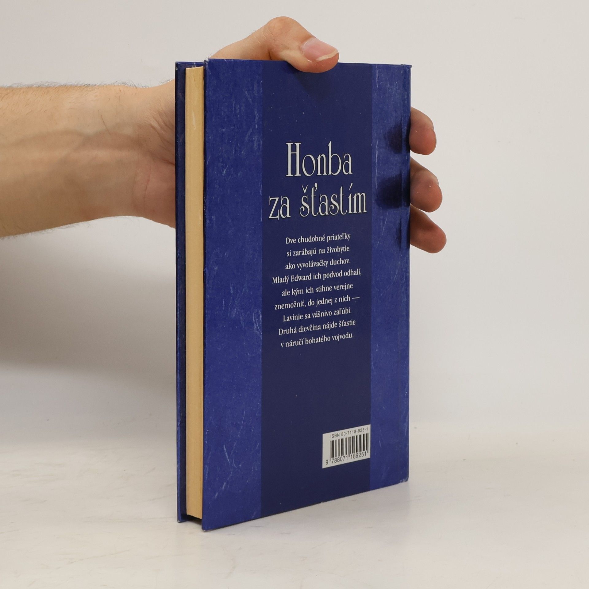 Meagan McKinney Honba za šťastím