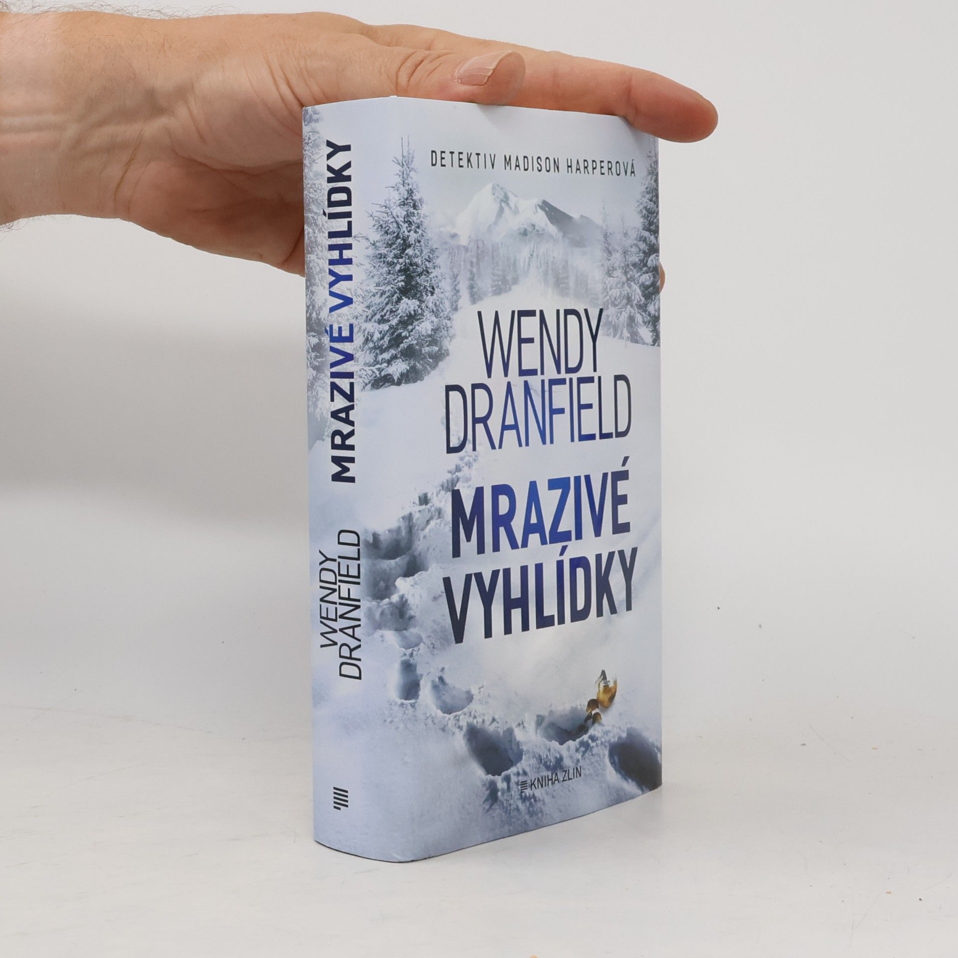 Wendy Dranfield Mrazivé vyhlídky