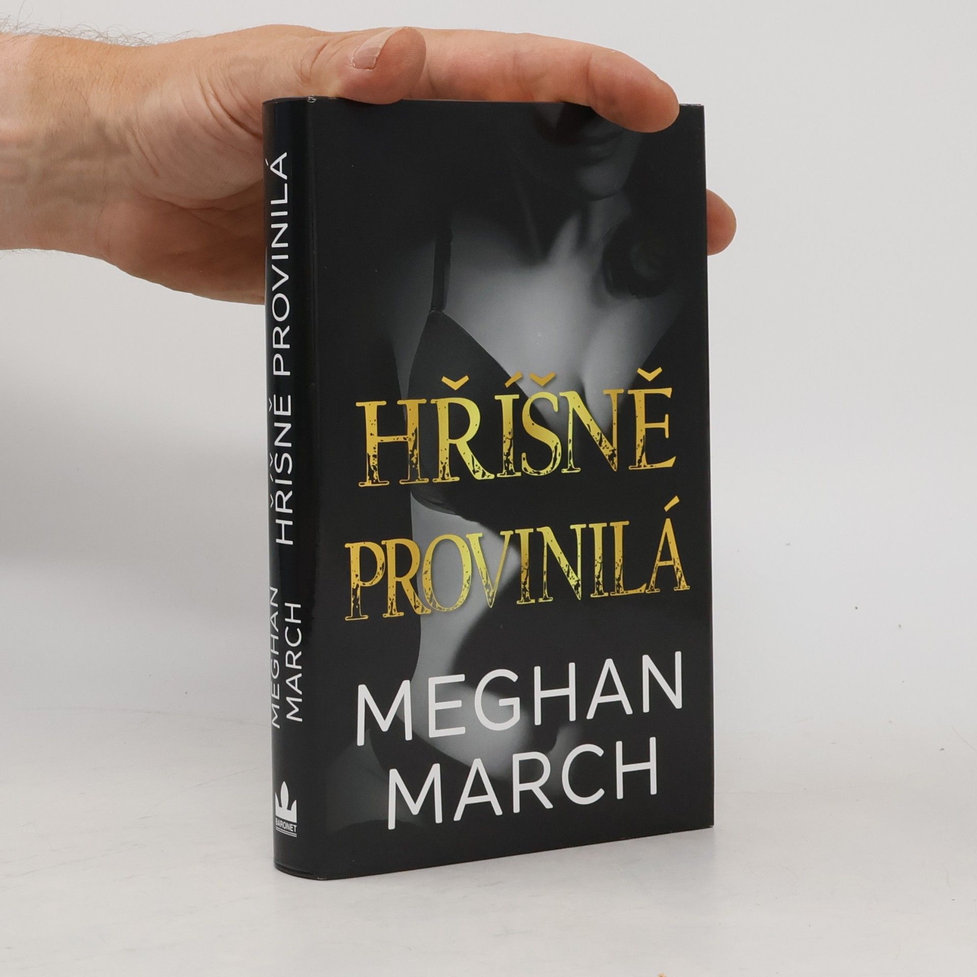 Meghan March Hříšně provinilá