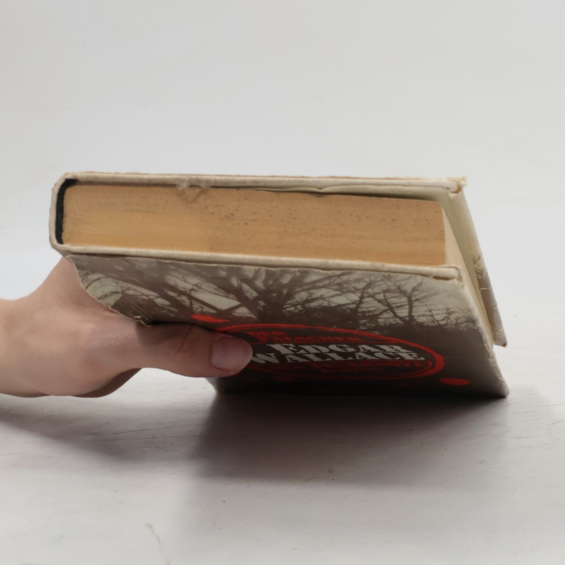 Edgar Wallace Der Fälscher. Der Feuerrote Kreis (Zwei Romane)