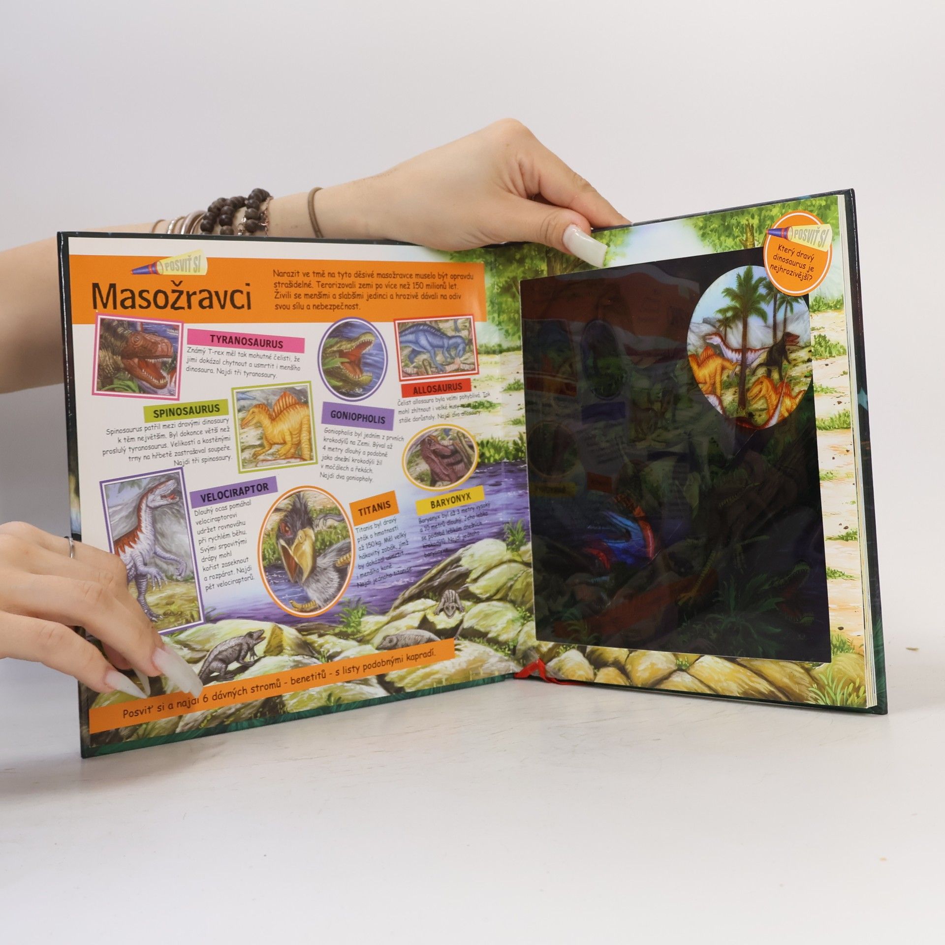 Various authors Lov dinosaurů : pátrej, najdi a spočítej