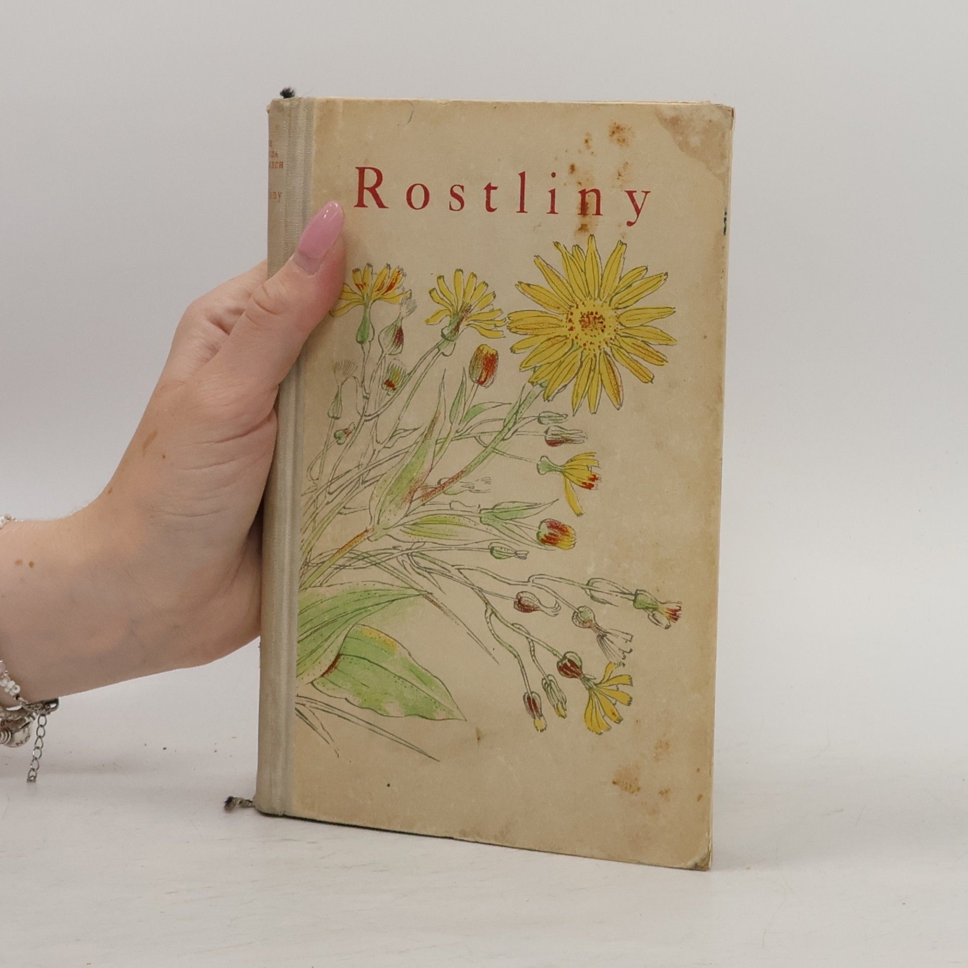 Karel Svolinský Rostliny 1