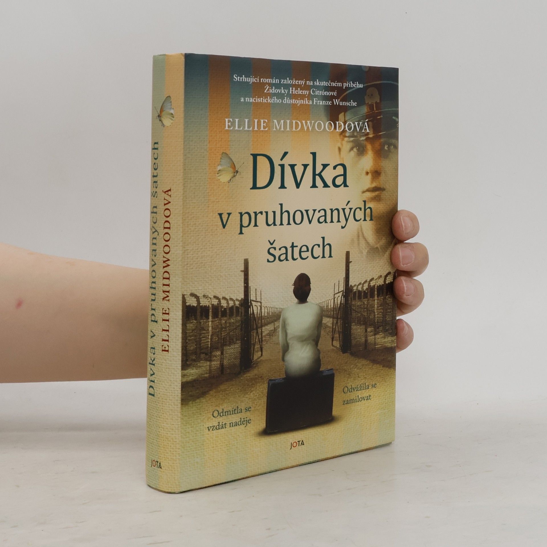 Ellie Midwood Dívka v pruhovaných šatech