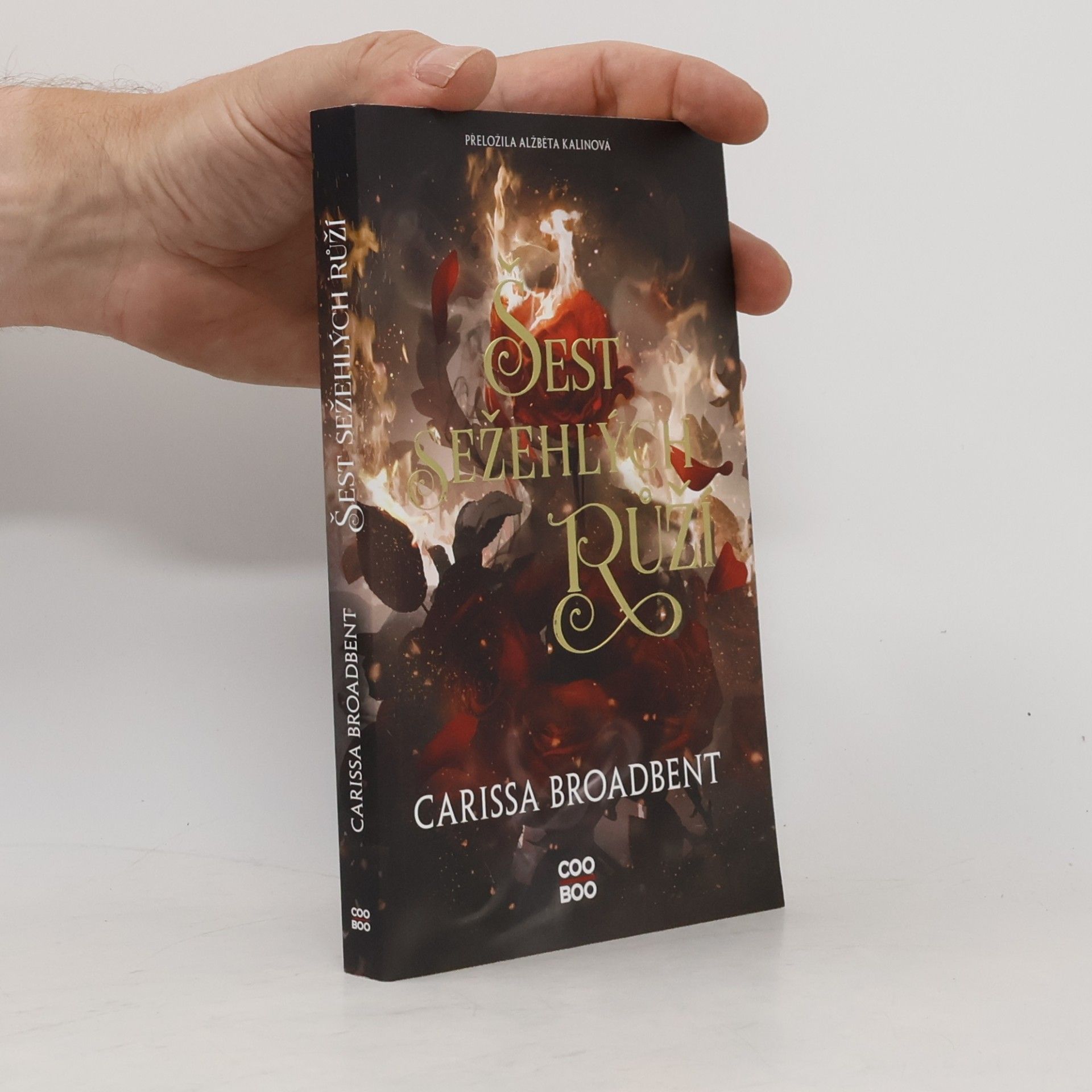 Carissa Broadbent Šest sežehlých růží