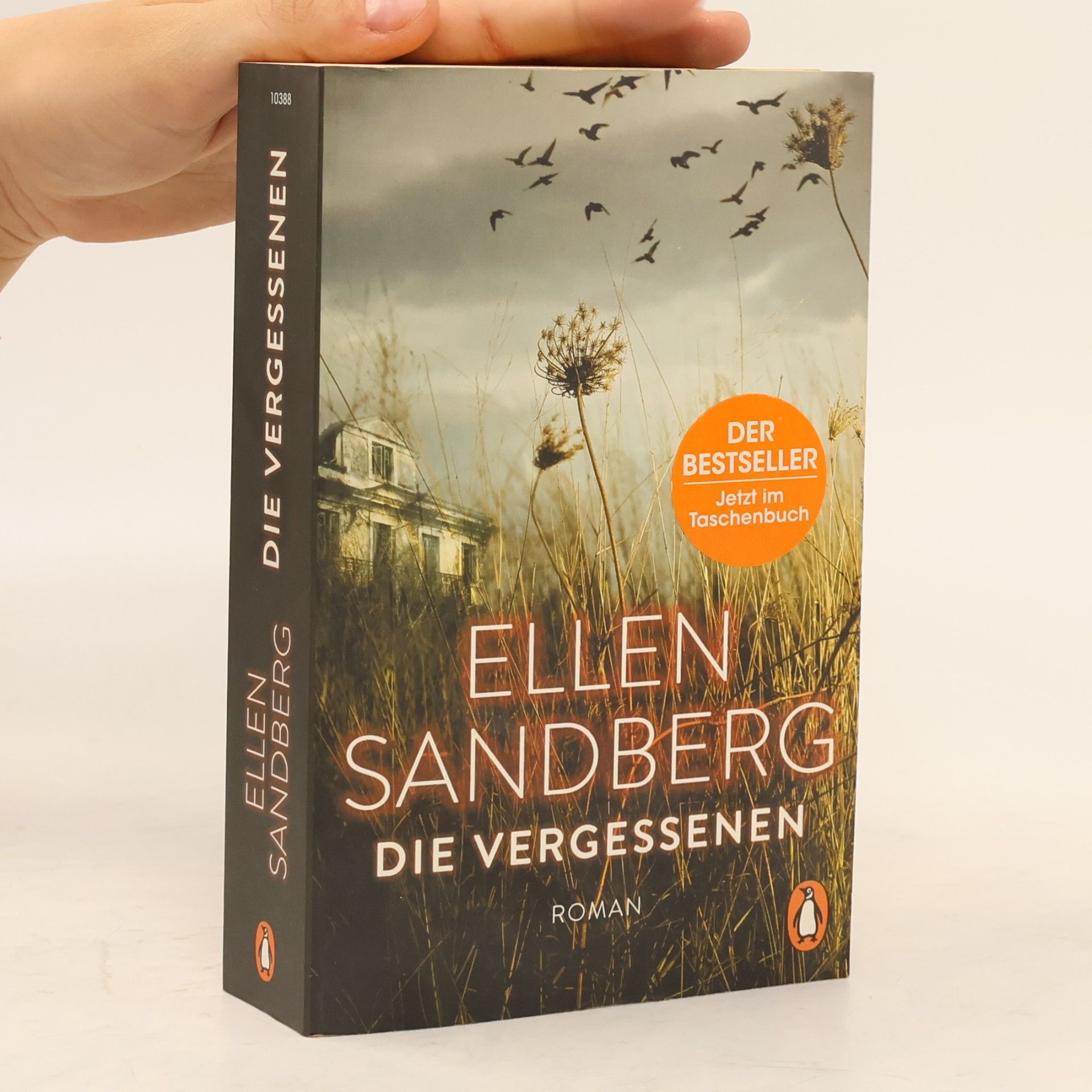 Ellen Sandberg Die Vergessenen