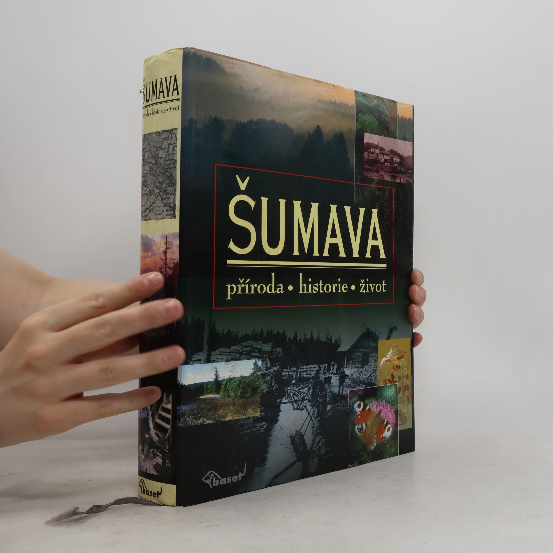 Kolektiv autorů Šumava. Příroda, historie, život