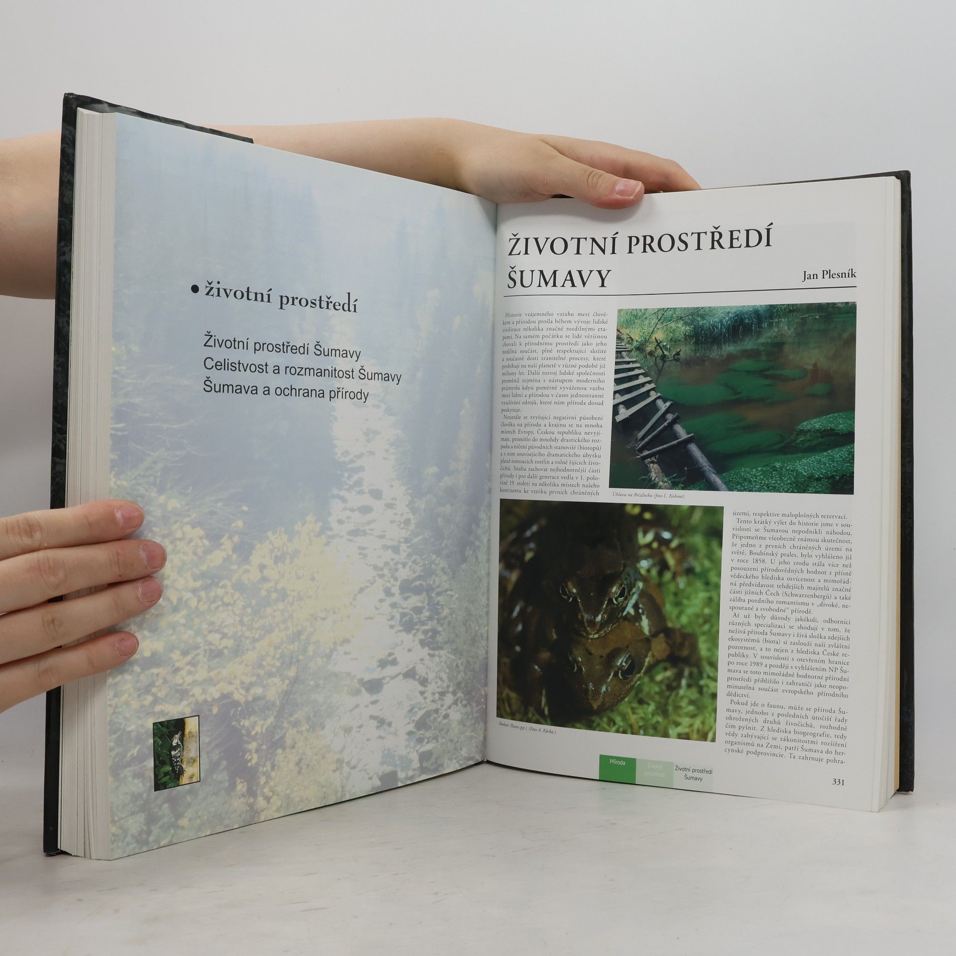 Kolektív autorov Šumava. Příroda, historie, život