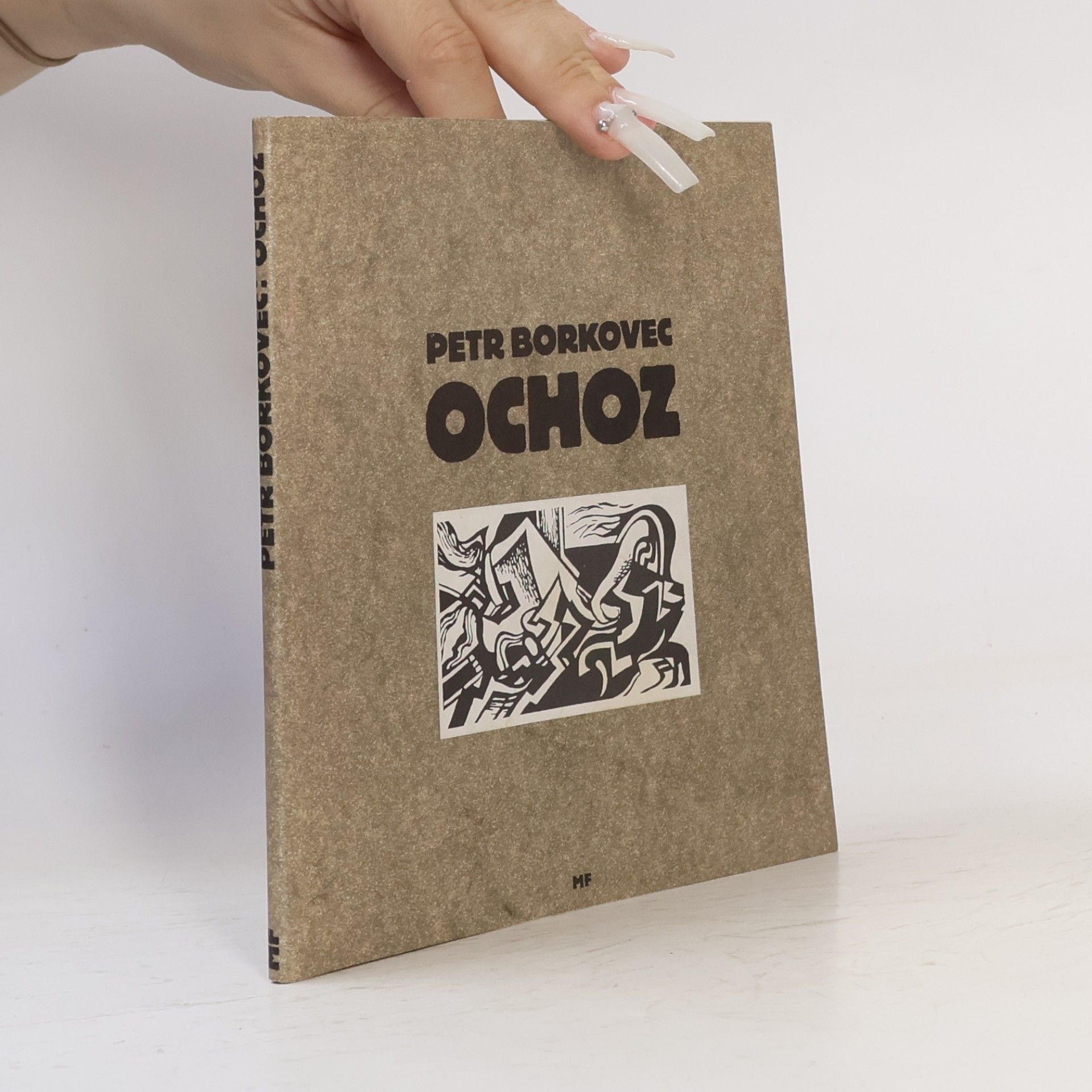 Ochoz