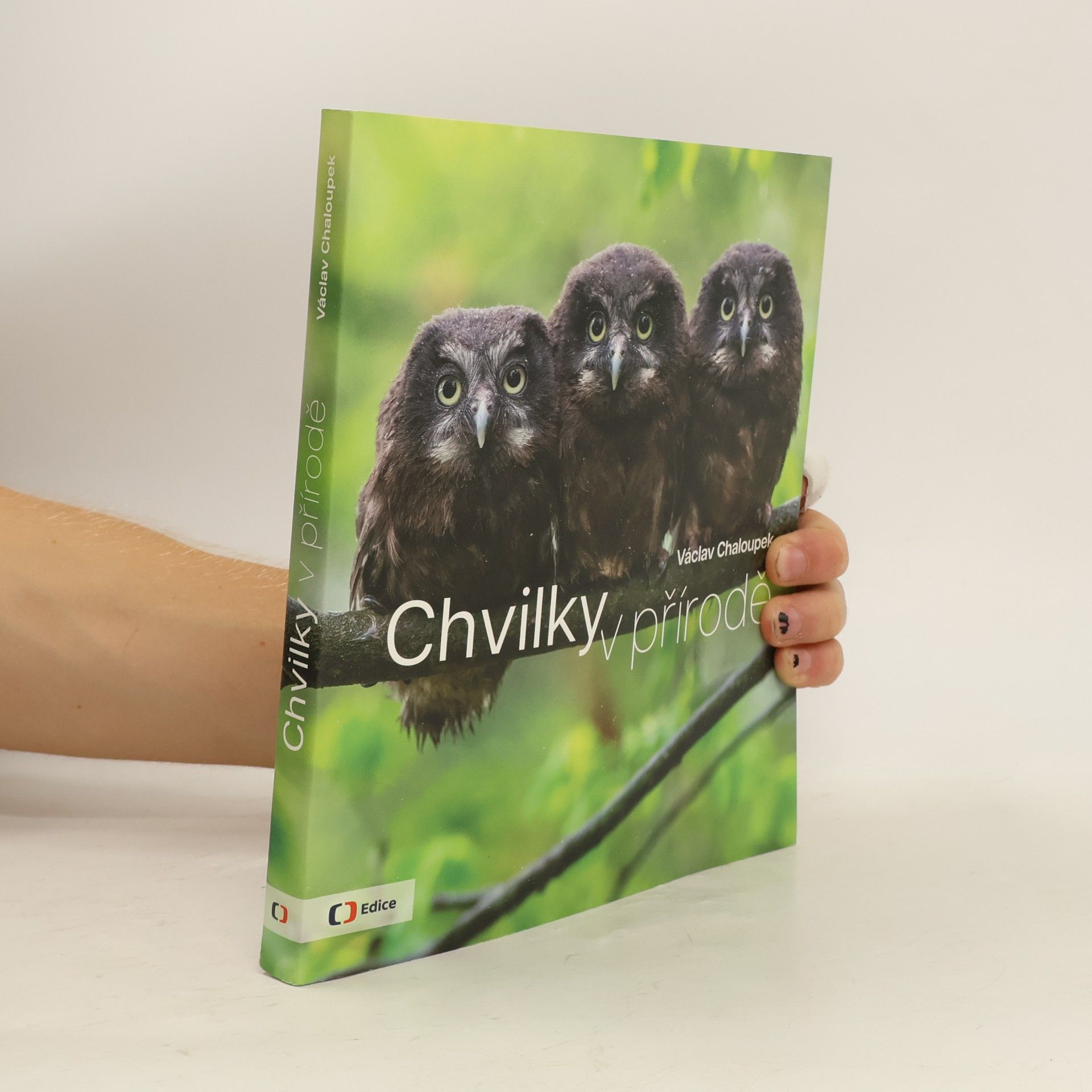 Chvilky v přírodě