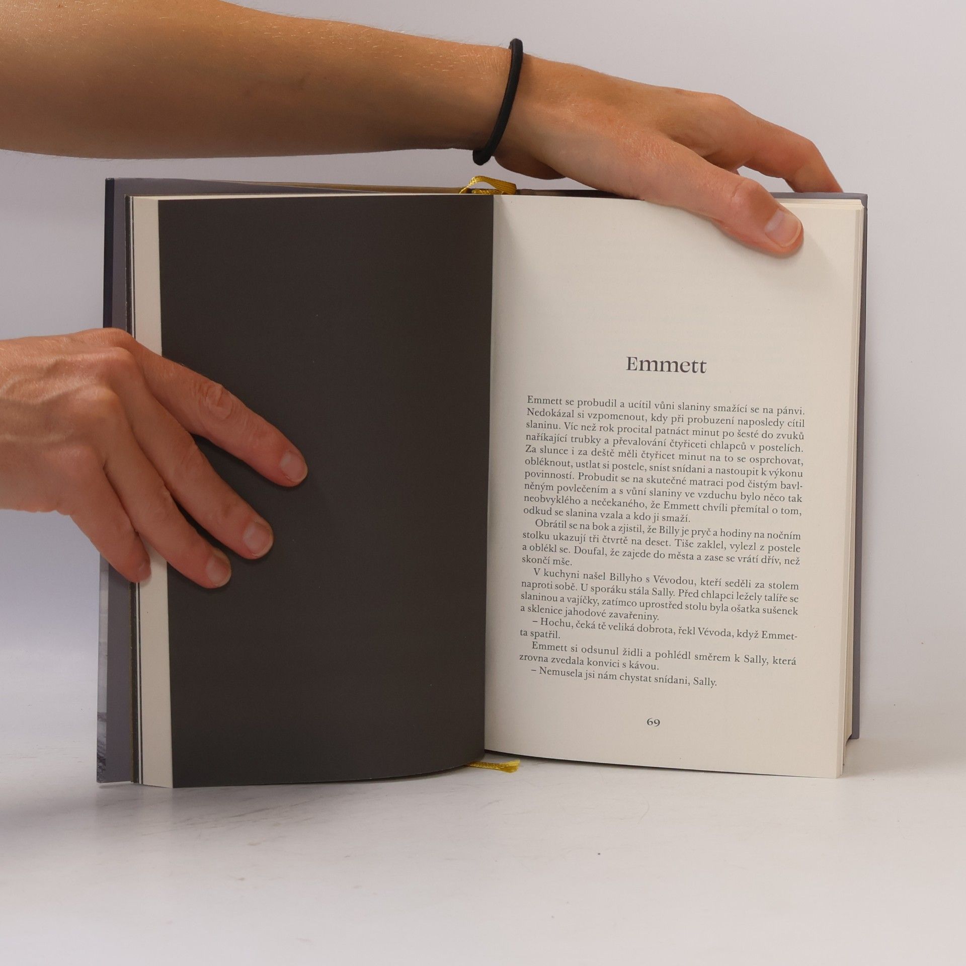 Amor Towles Lincolnova dálnice
