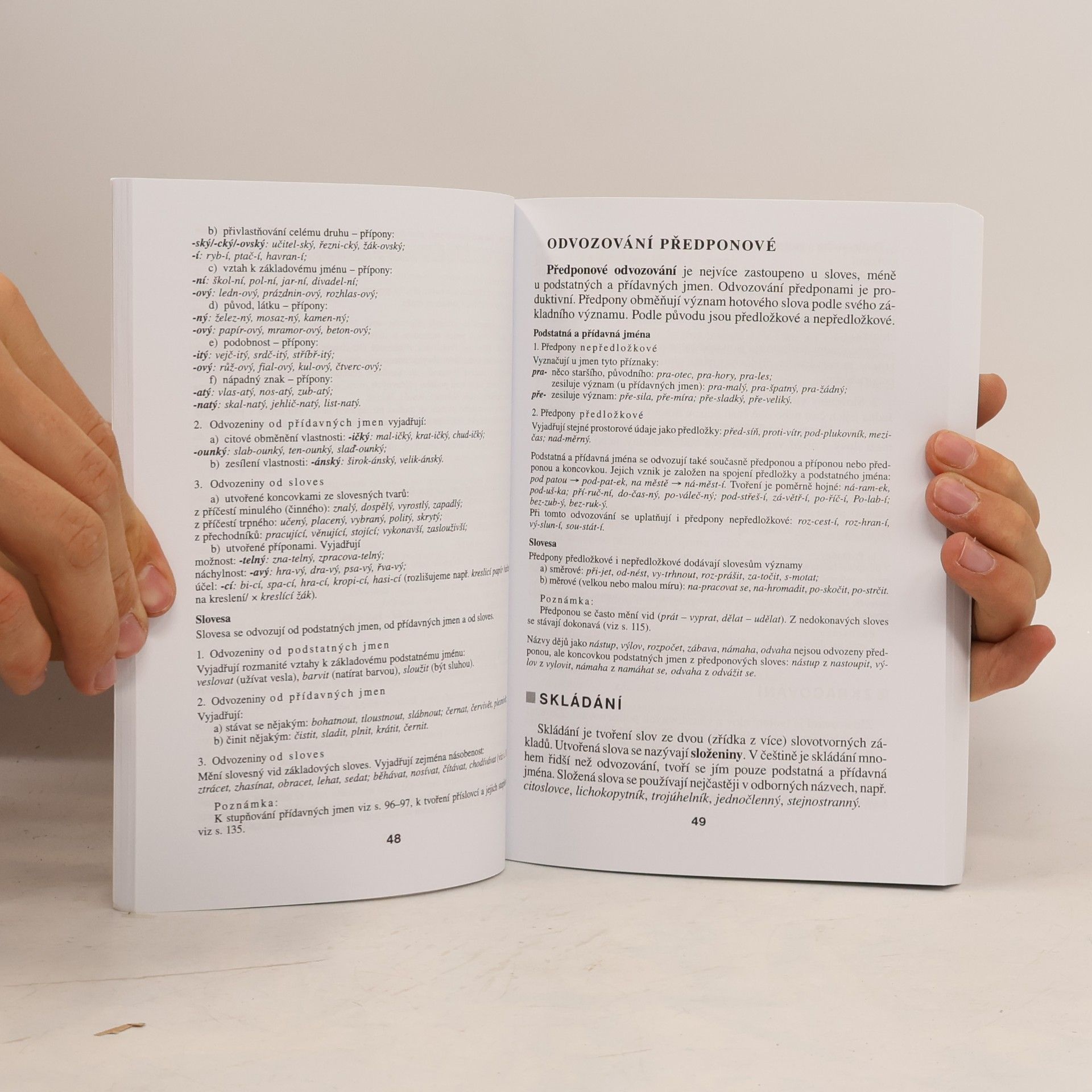 Vlastimil Styblík Základní mluvnice českého jazyka