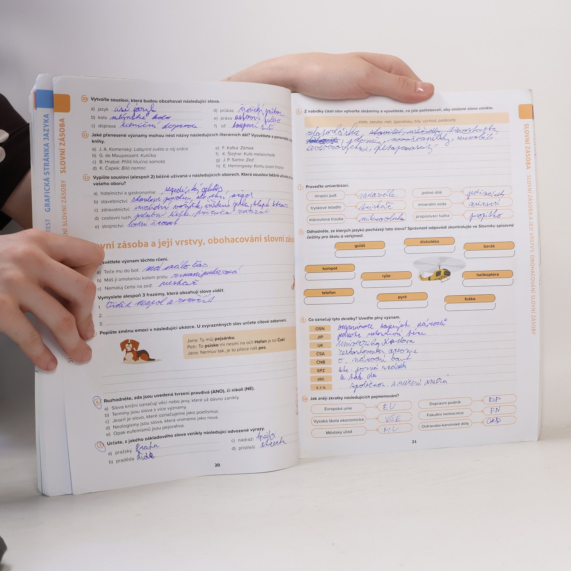 Various authors Český jazyk pro střední odborné školy. Pracovní sešit