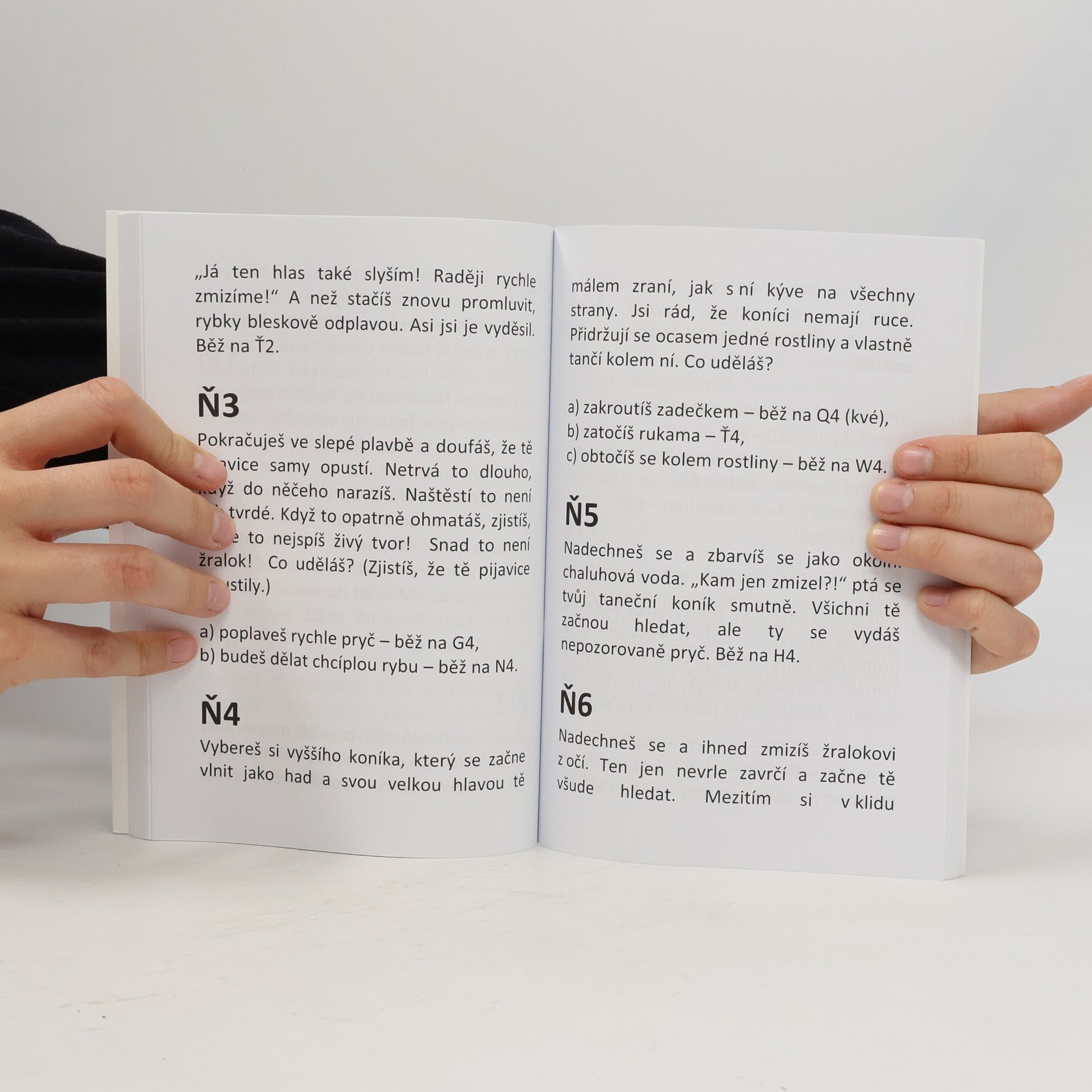 Lenka Moravcová Gamebook: Dobrodružství jezerních skřítků