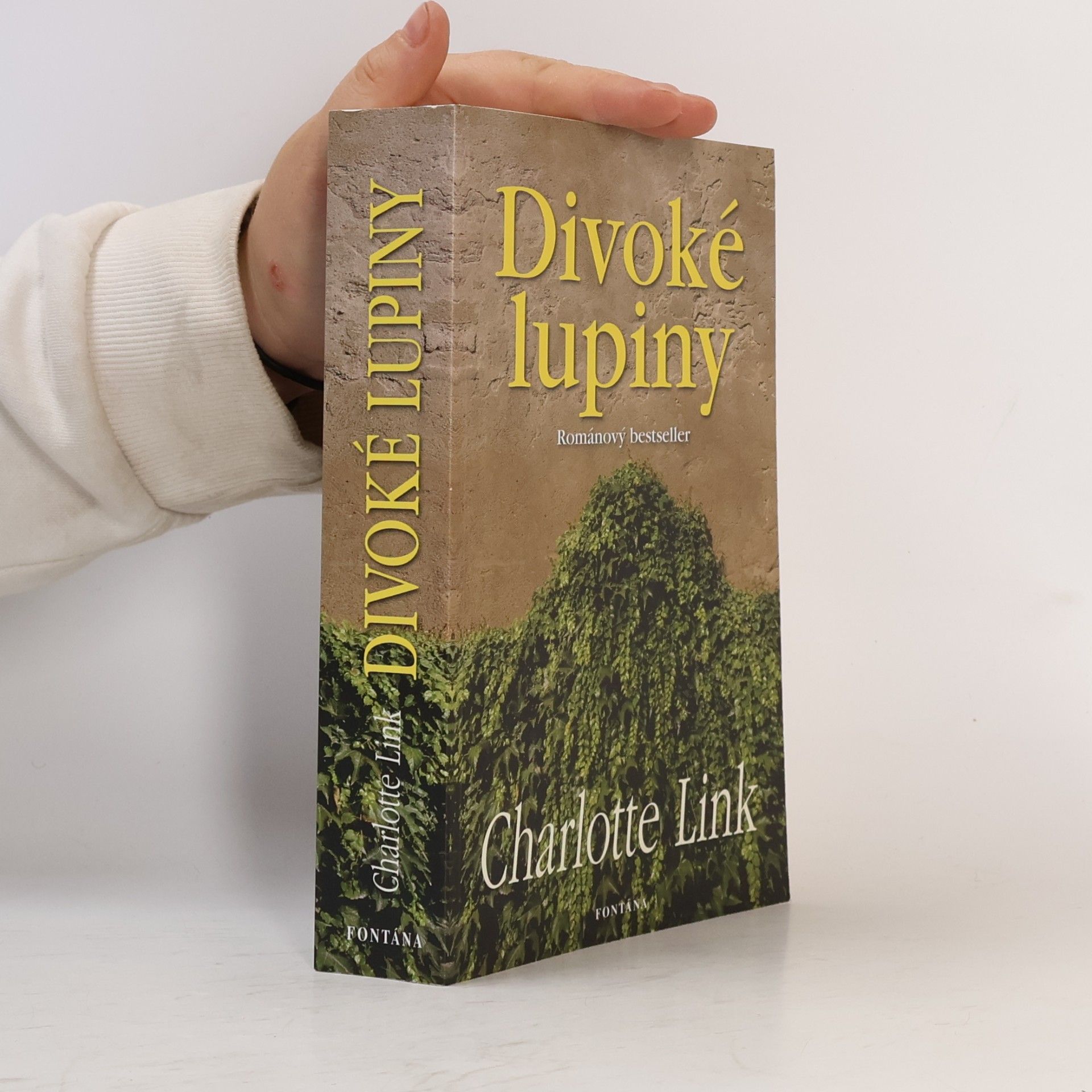 Charlotte Link Divoké lupiny
