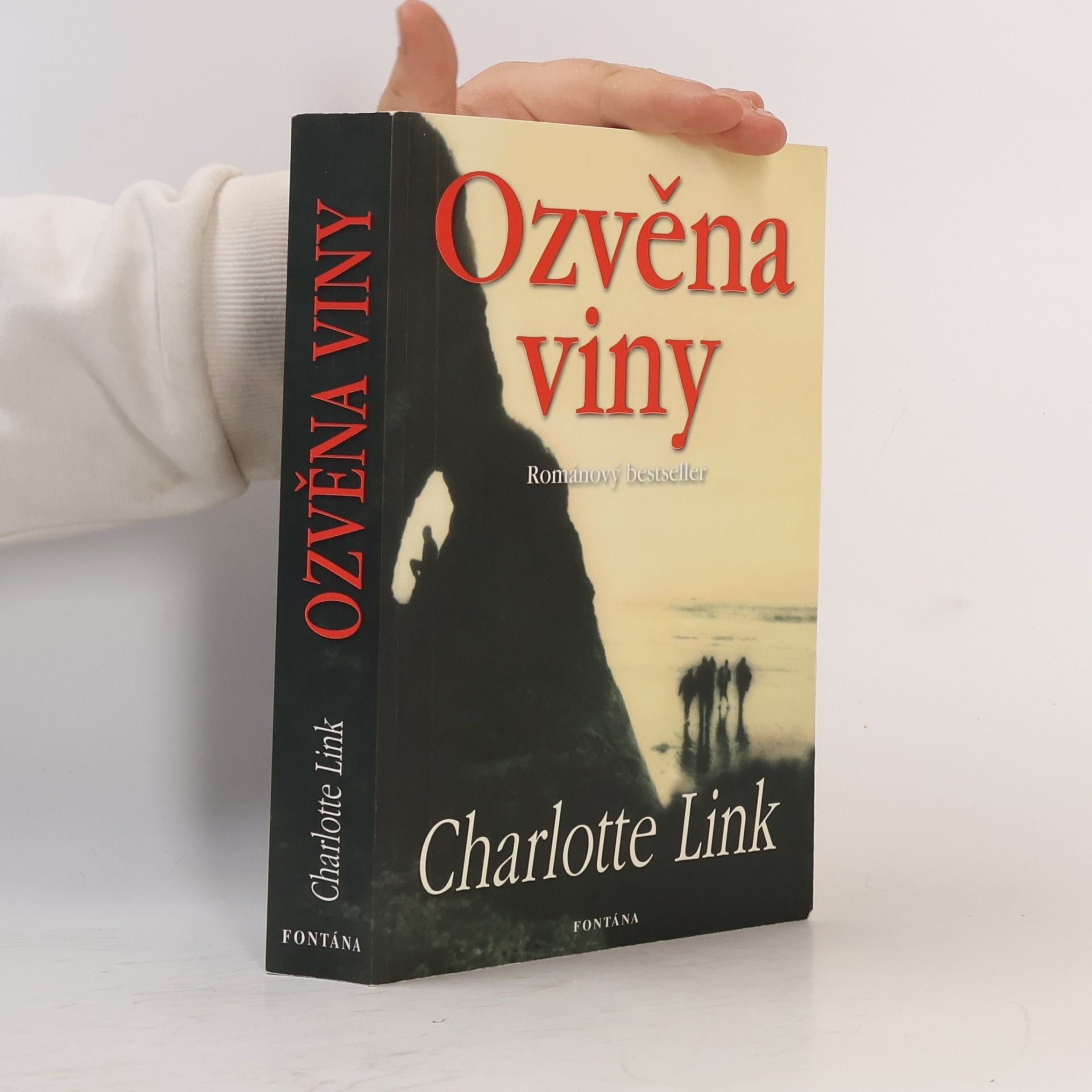 Charlotte Link Ozvěna viny