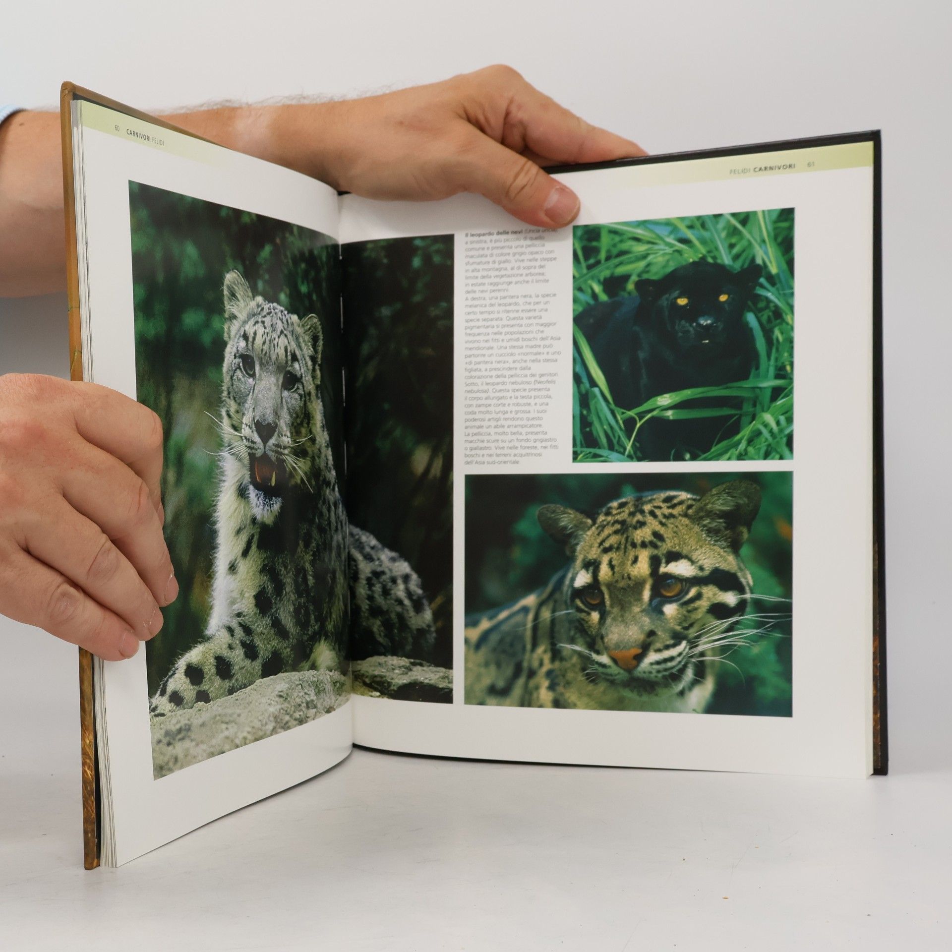 Kolektiv autorů Enciclopedia degli animali