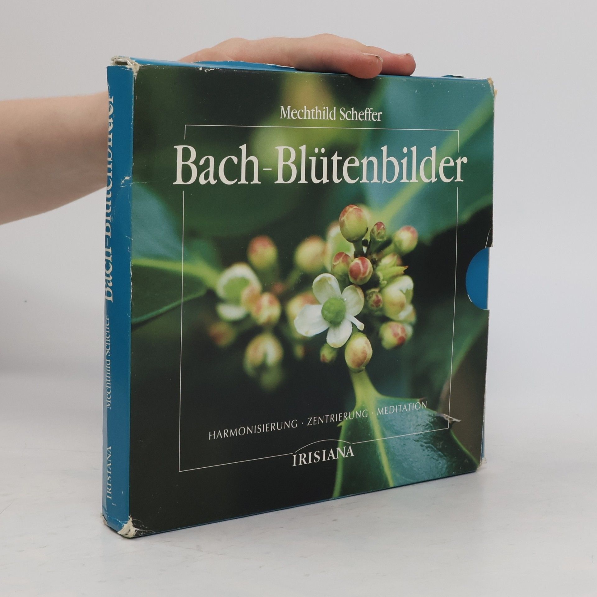 Bach-Blütenbilder
