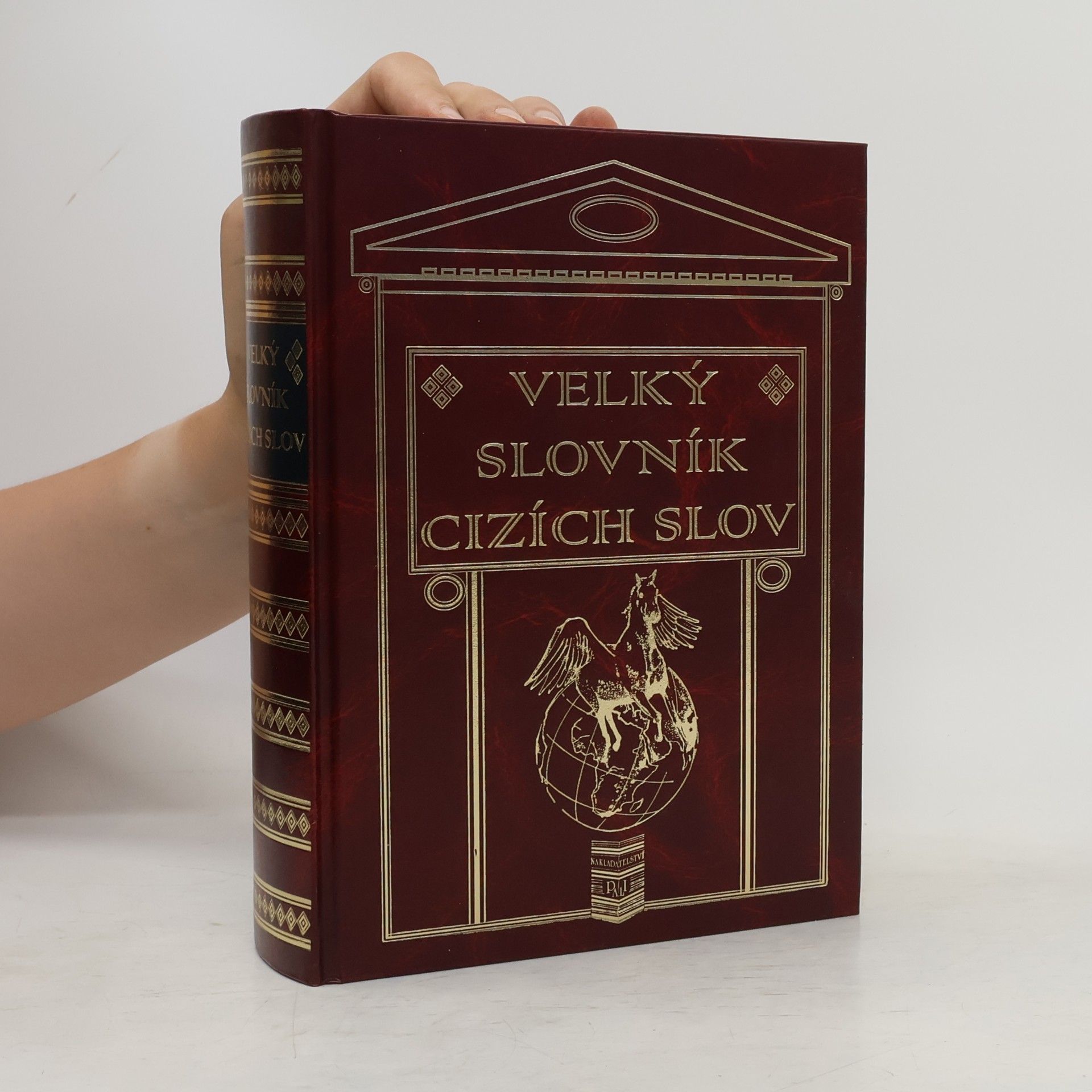 Autorenkollektiv Velký slovník cizích slov
