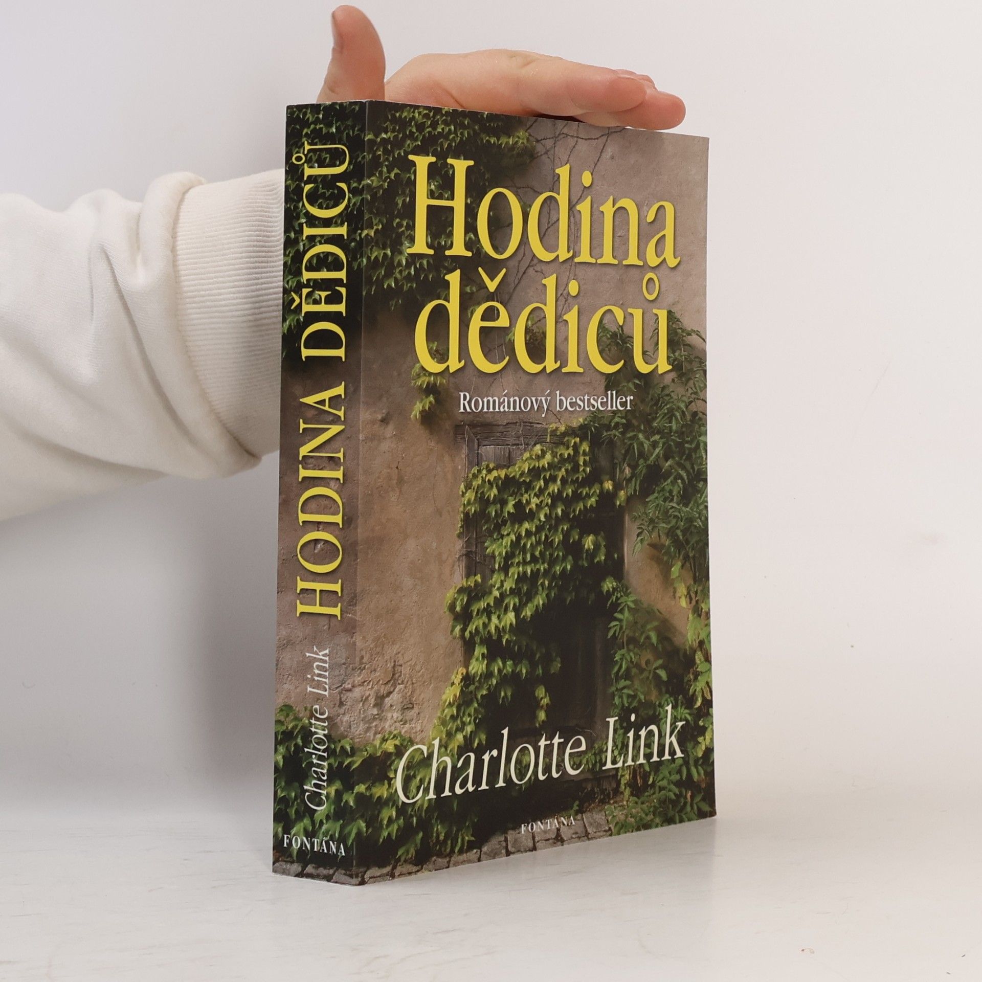Charlotte Link Hodina dědiců