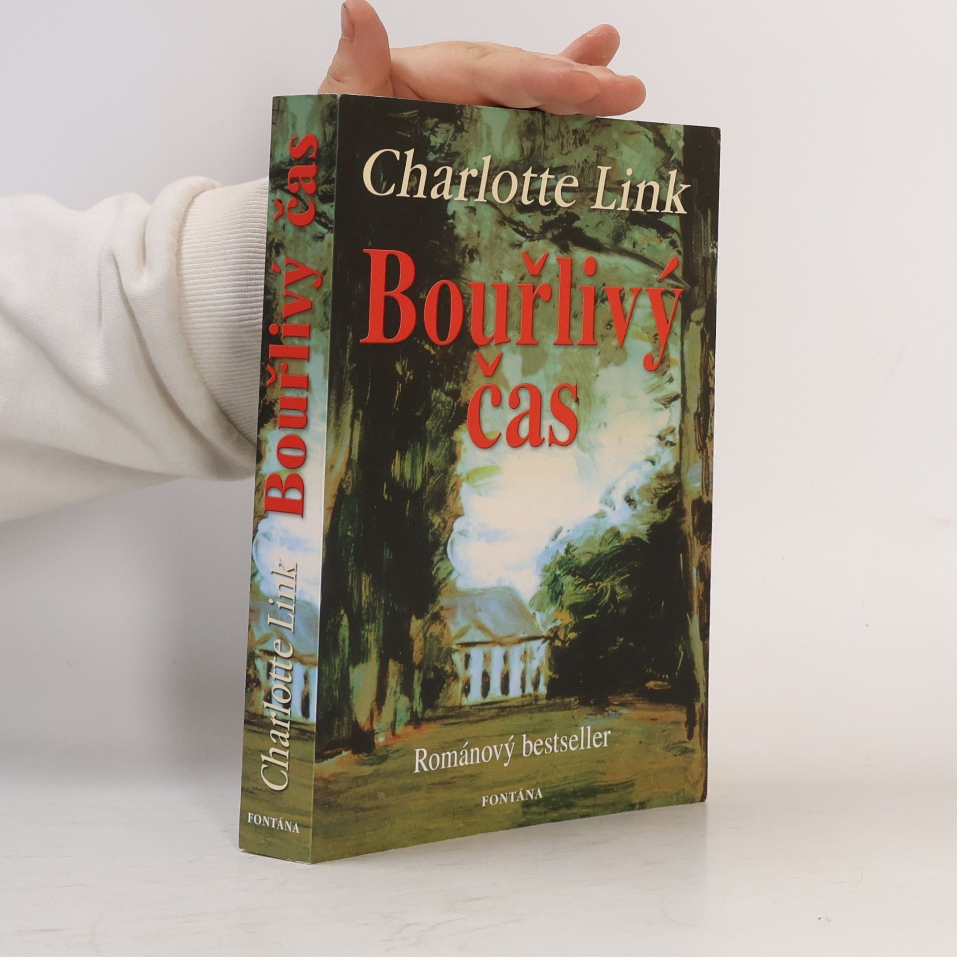 Charlotte Link Bouřlivý čas
