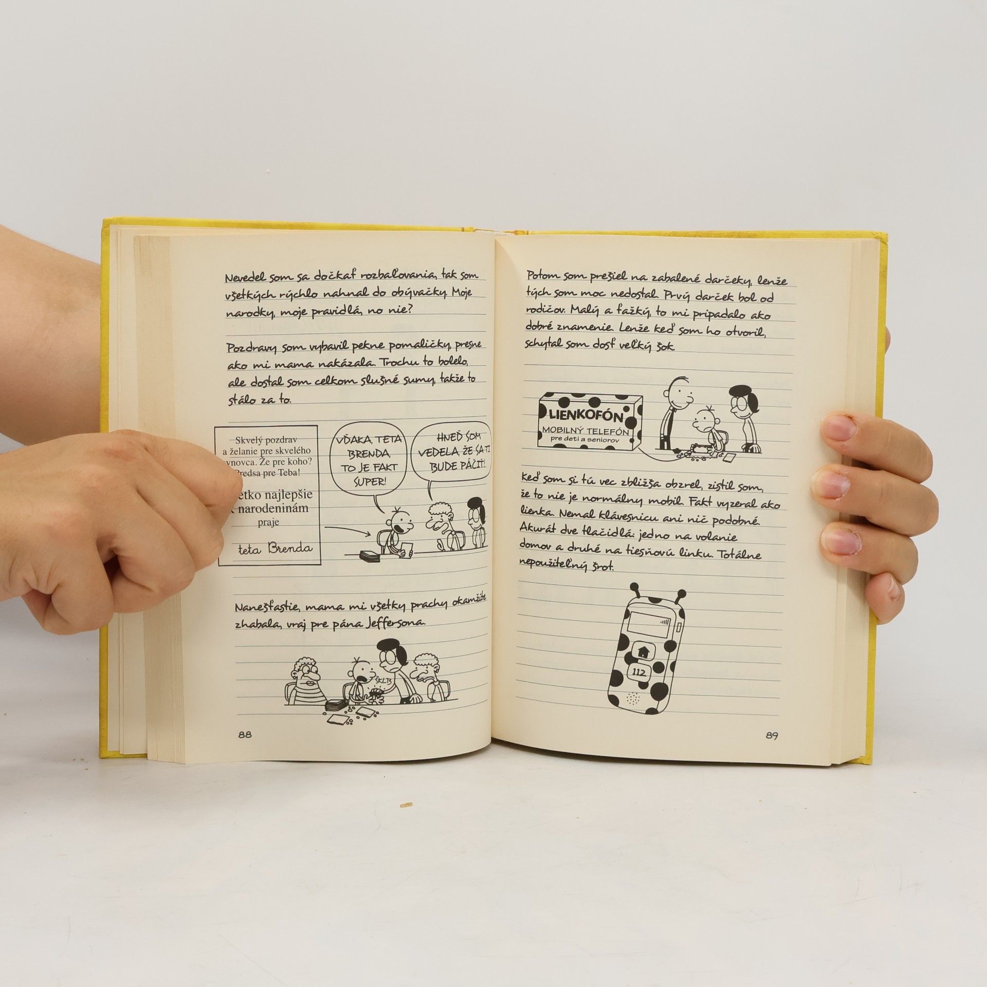 Jeff Kinney Denník odvážneho bojka 4: Prázdniny pod psa