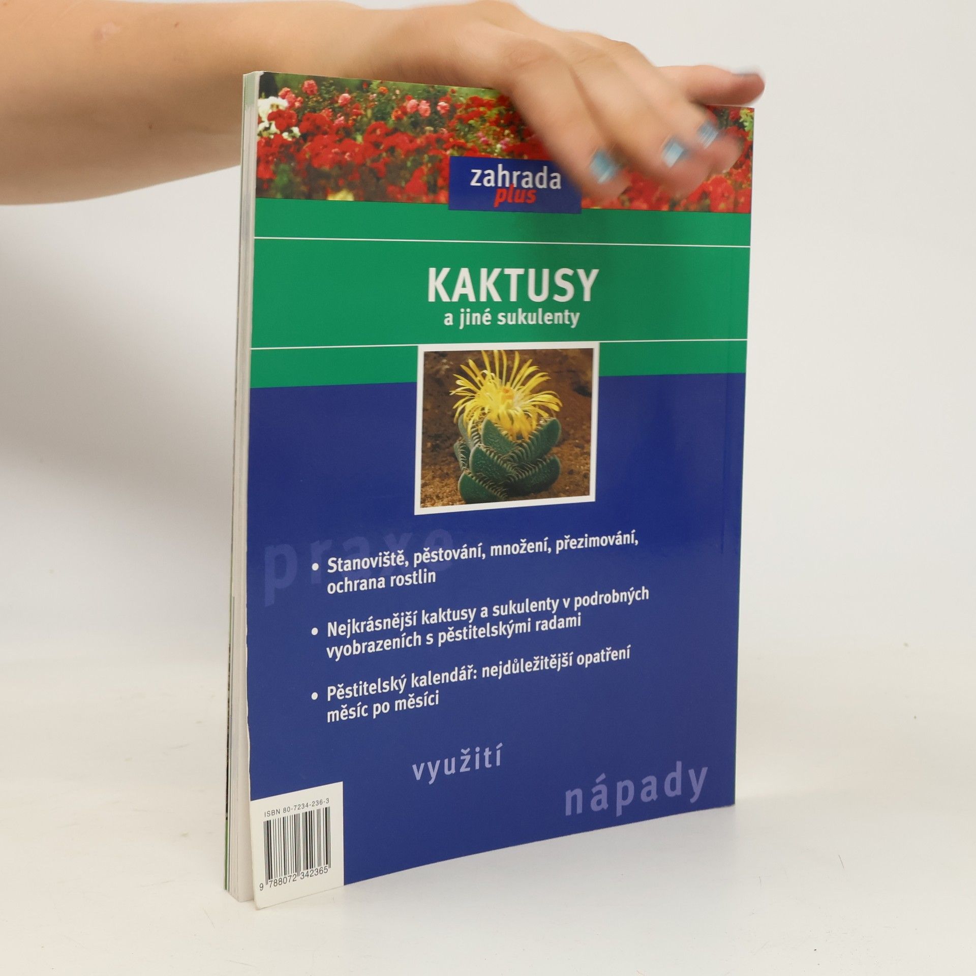 Elisabeth Manke Kaktusy a jiné sukulenty: Pěstování, přezimování, množení